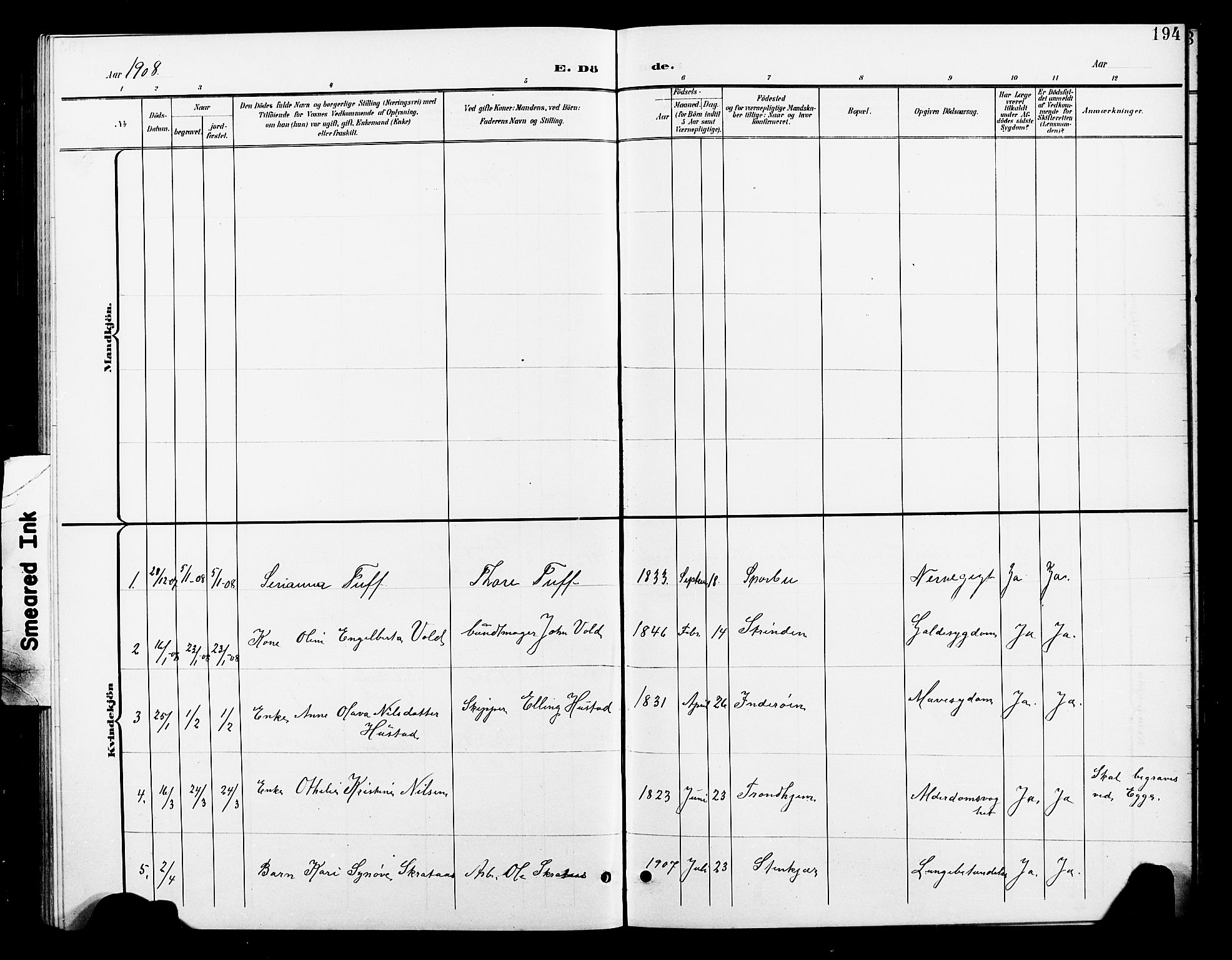 Ministerialprotokoller, klokkerbøker og fødselsregistre - Nord-Trøndelag, SAT/A-1458/739/L0375: Parish register (copy) no. 739C03, 1898-1908, p. 194