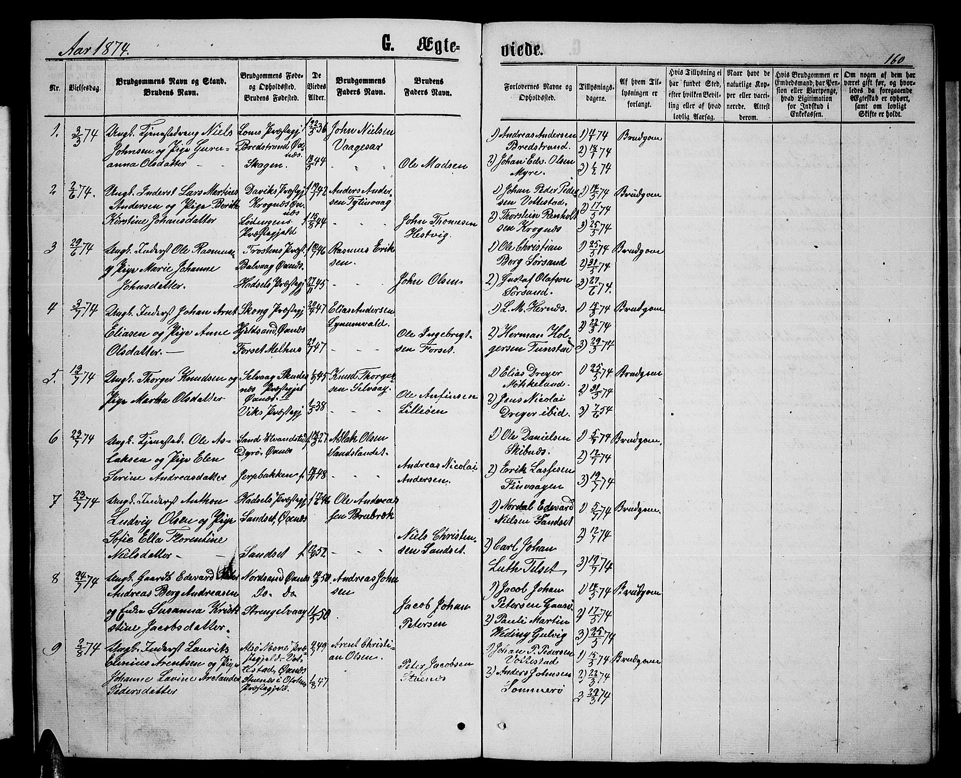 Ministerialprotokoller, klokkerbøker og fødselsregistre - Nordland, SAT/A-1459/893/L1348: Parish register (copy) no. 893C03, 1867-1877, p. 160