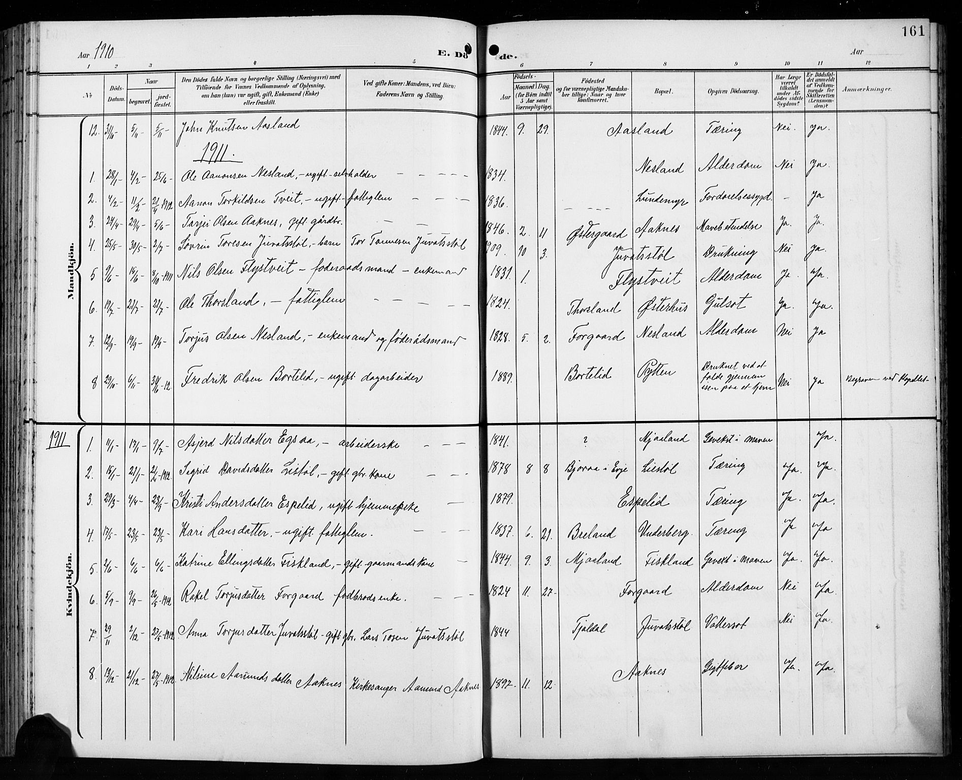 Åseral sokneprestkontor, SAK/1111-0051/F/Fb/L0003: Parish register (copy) no. B 3, 1900-1919, p. 161