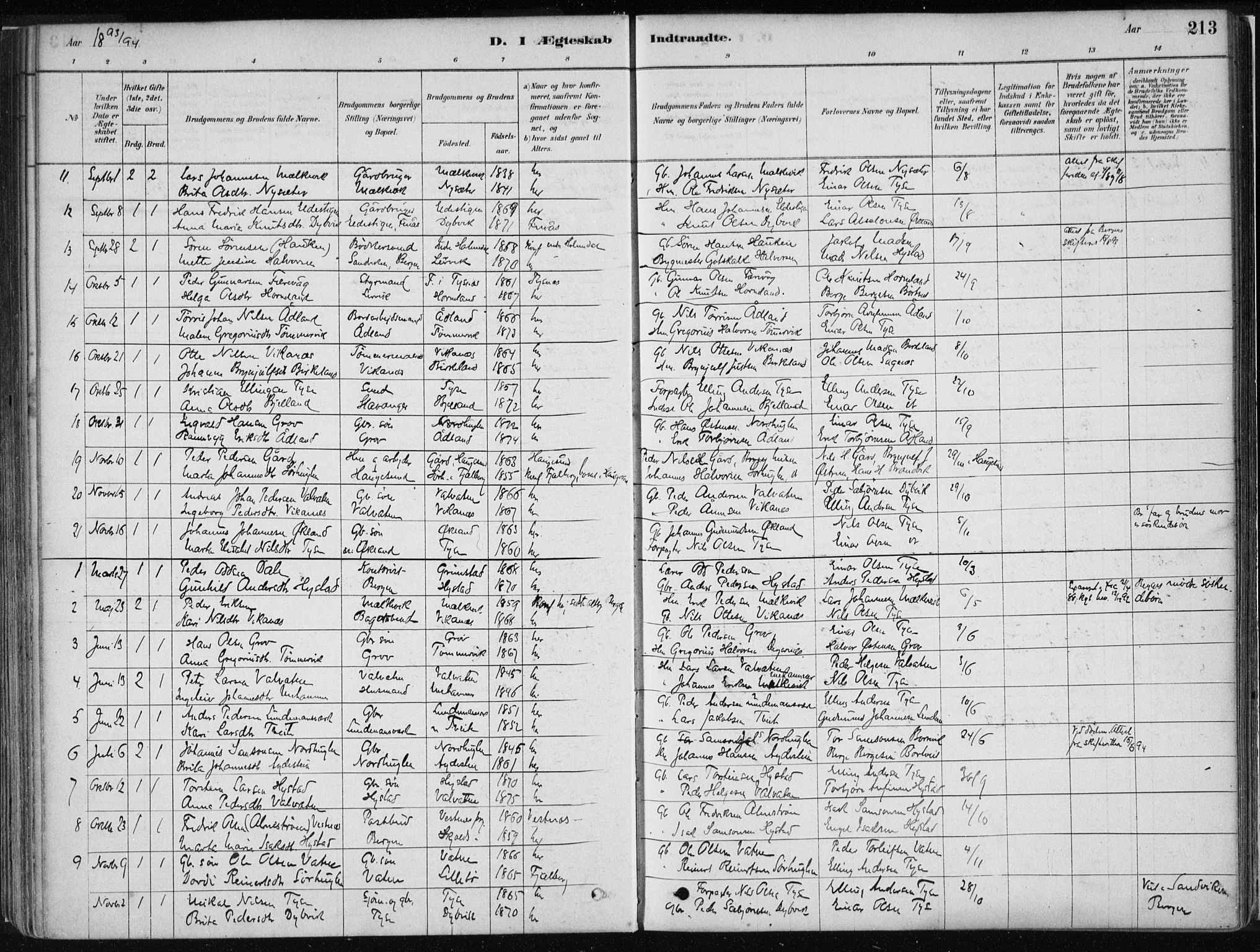 Stord sokneprestembete, SAB/A-78201/H/Haa: Parish register (official) no. B 2, 1878-1913, p. 213