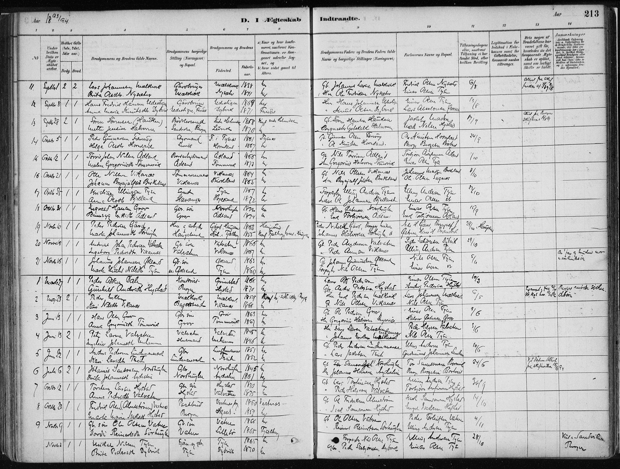 Stord sokneprestembete, AV/SAB-A-78201/H/Haa: Parish register (official) no. B 2, 1878-1913, p. 213