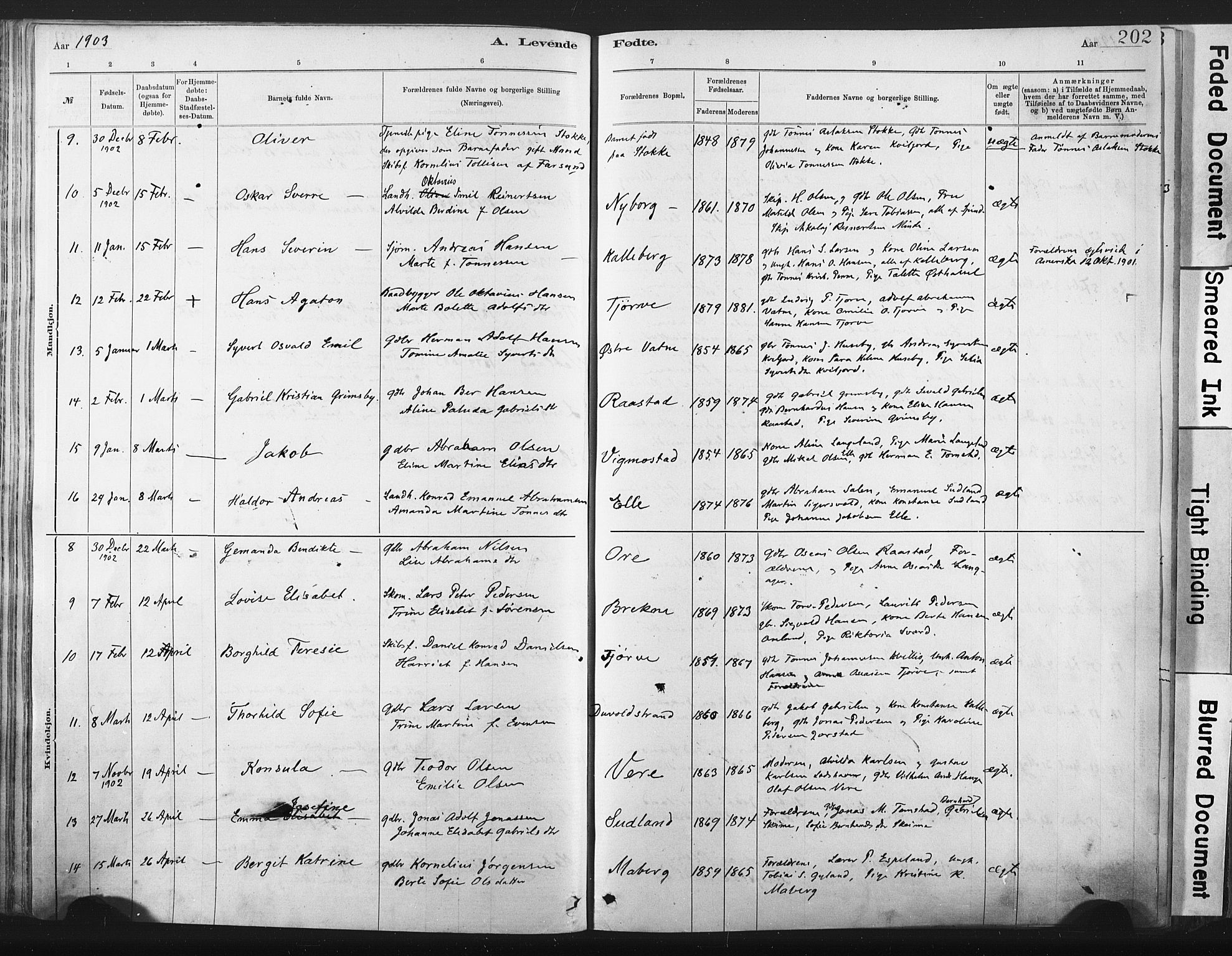 Lista sokneprestkontor, AV/SAK-1111-0027/F/Fa/L0012: Parish register (official) no. A 12, 1879-1903, p. 202