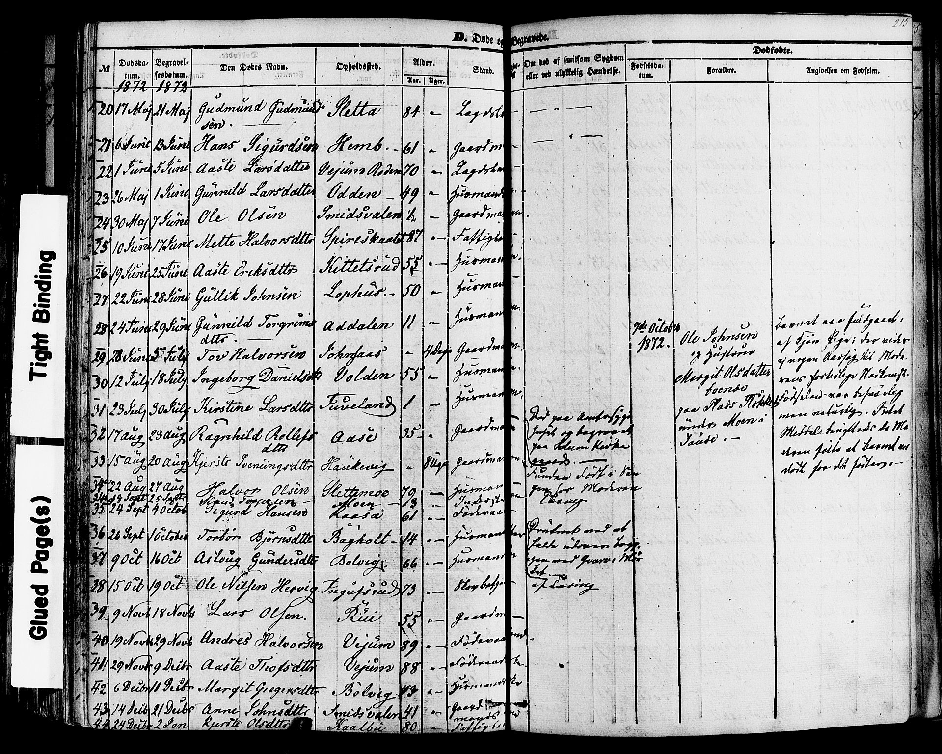 Sauherad kirkebøker, SAKO/A-298/F/Fa/L0007: Parish register (official) no. I 7, 1851-1873, p. 215