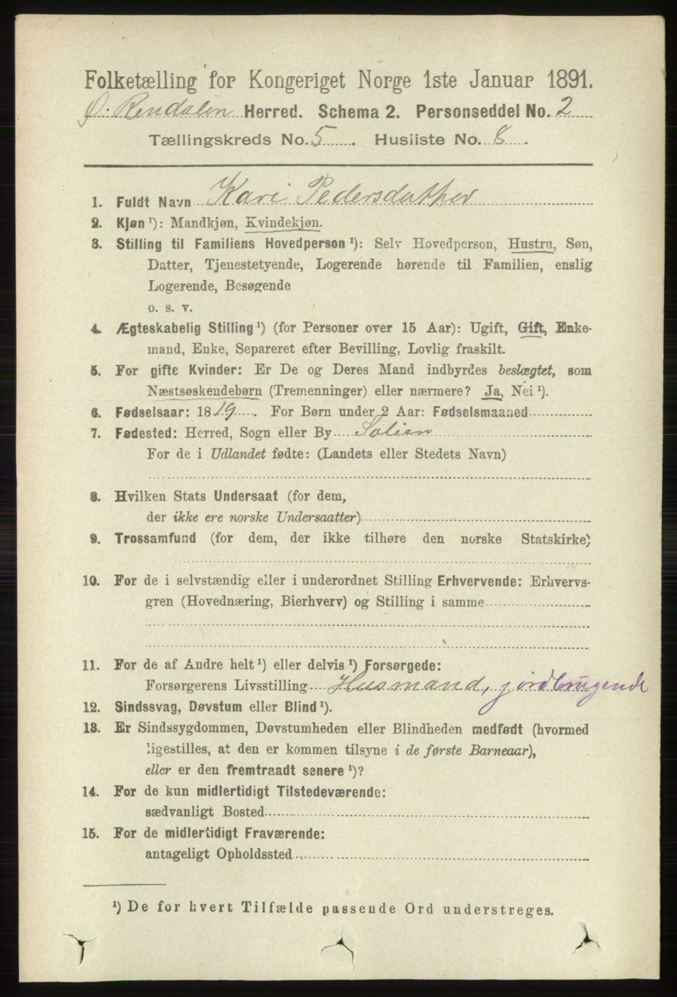 RA, 1891 census for 0433 Øvre Rendal, 1891, p. 1353