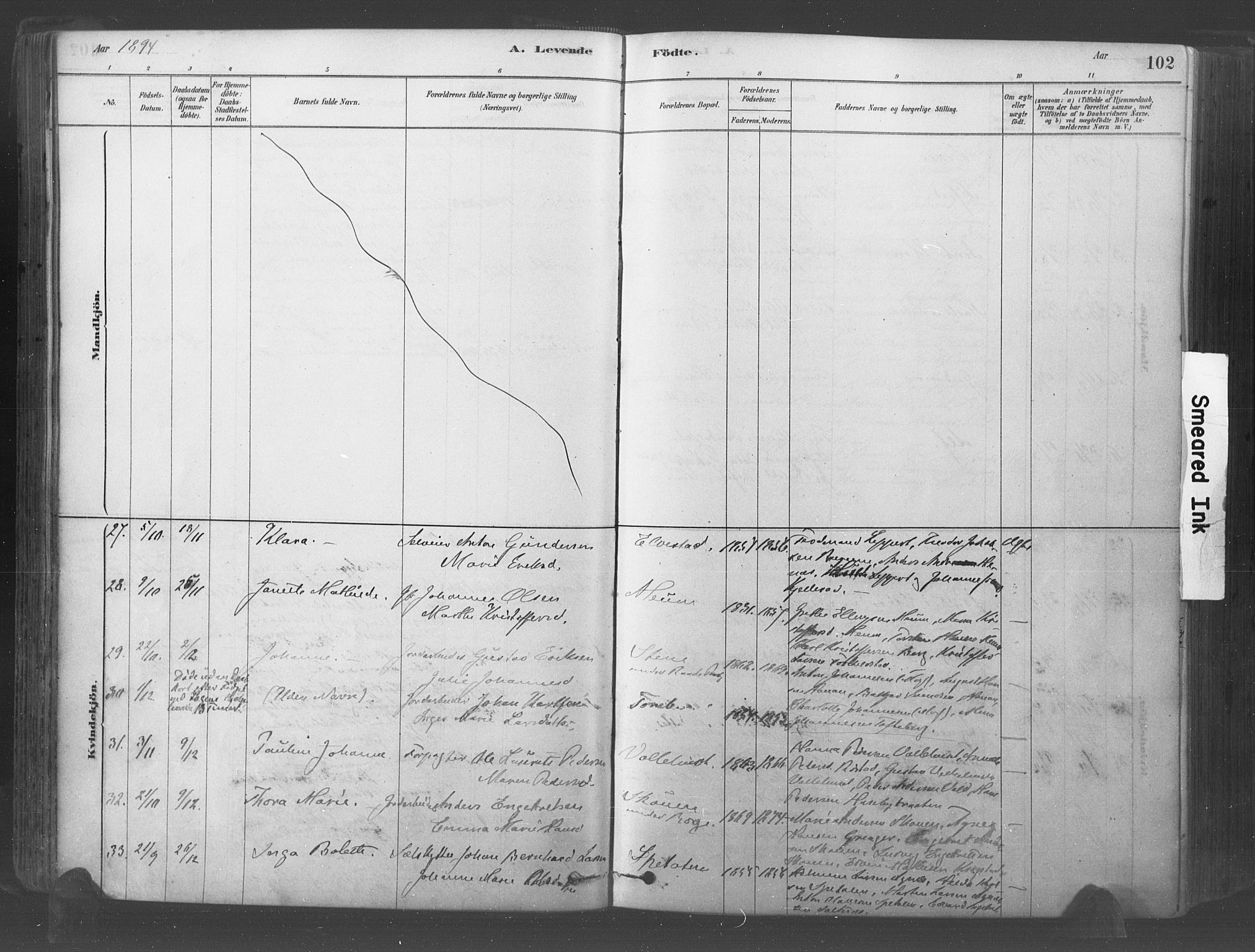 Råde prestekontor kirkebøker, AV/SAO-A-2009/F/Fa/L0007: Parish register (official) no. 7, 1878-1902, p. 102