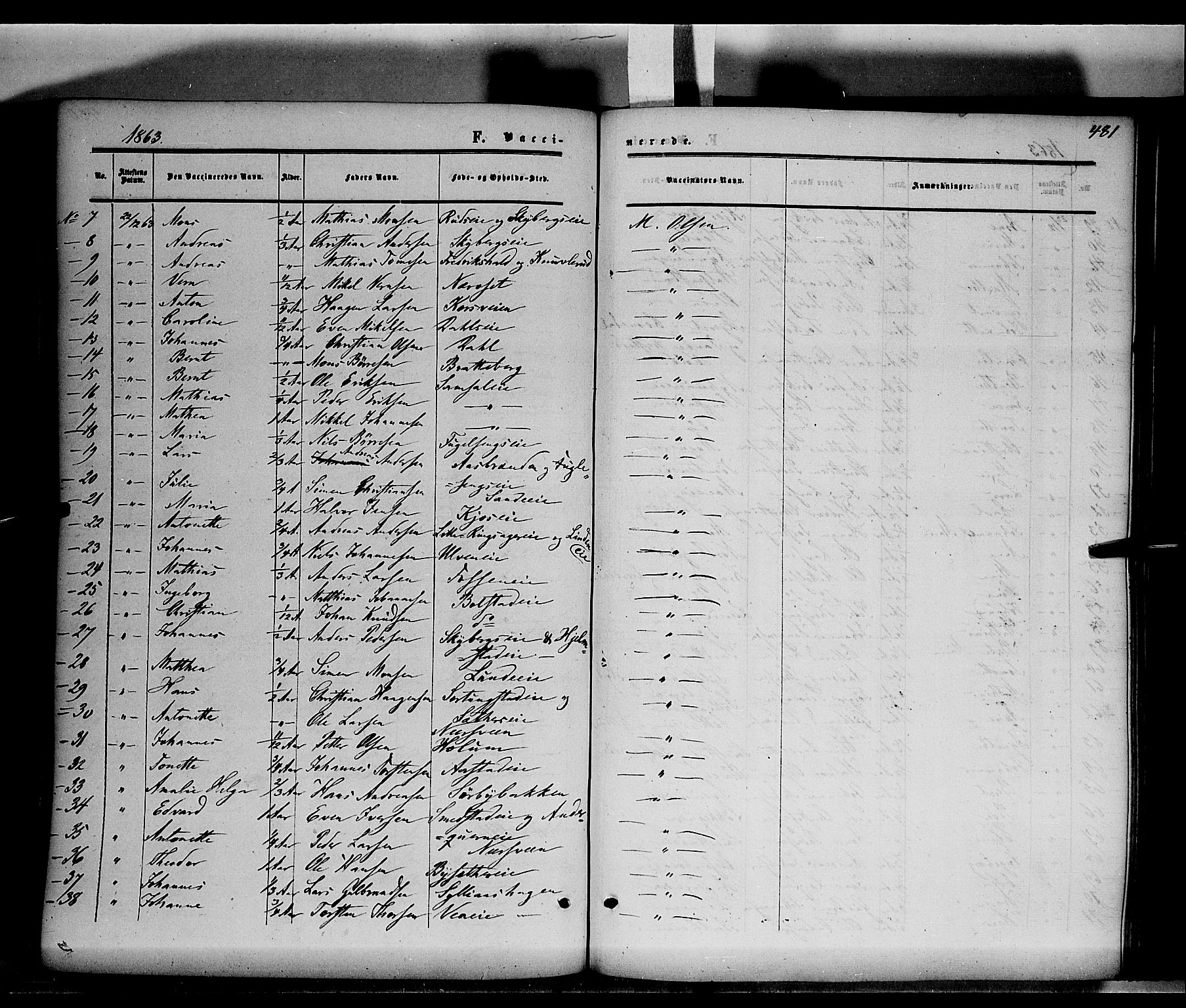 Ringsaker prestekontor, AV/SAH-PREST-014/K/Ka/L0010: Parish register (official) no. 10, 1861-1869, p. 481