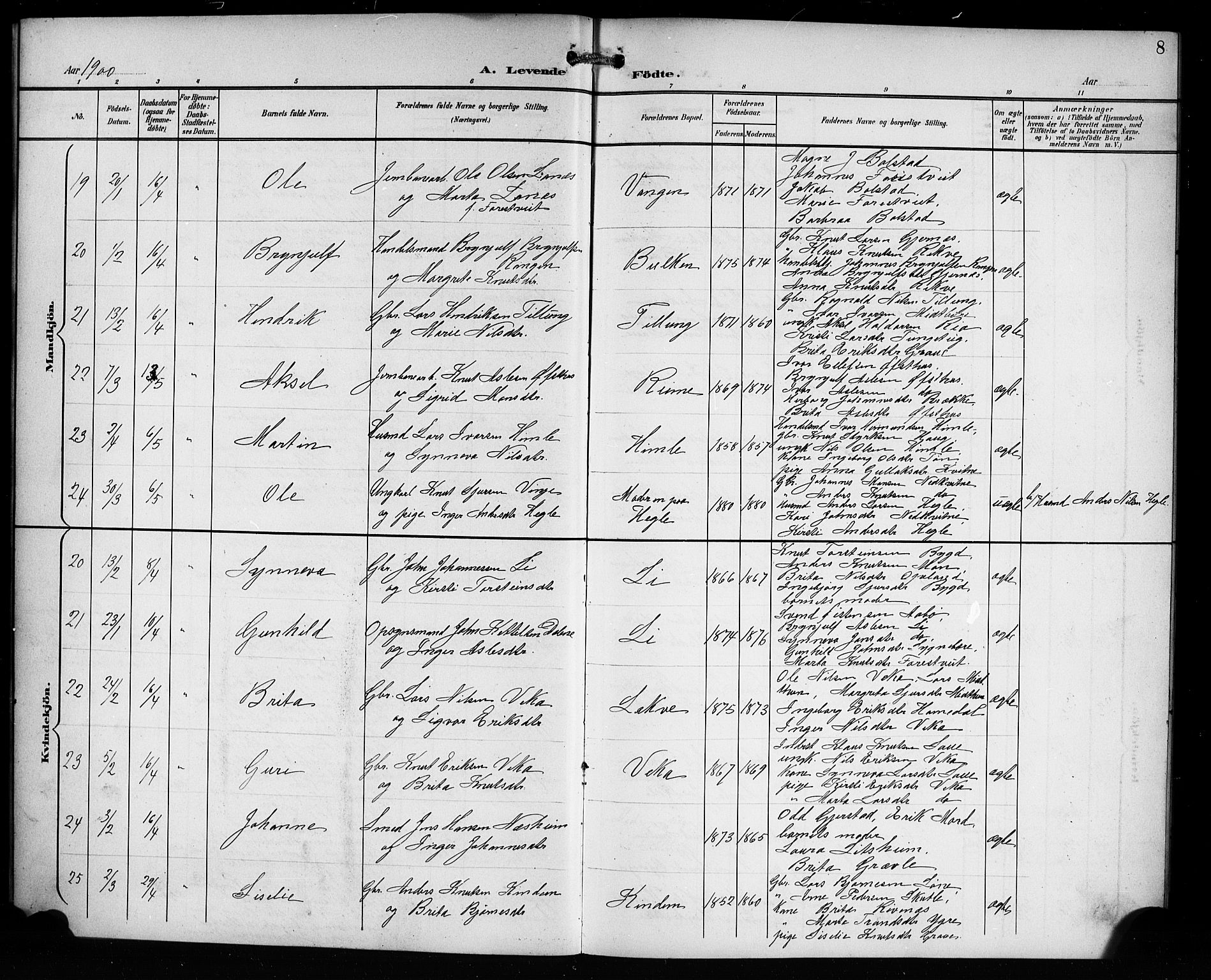 Voss sokneprestembete, AV/SAB-A-79001/H/Hab: Parish register (copy) no. C 2, 1900-1909, p. 8
