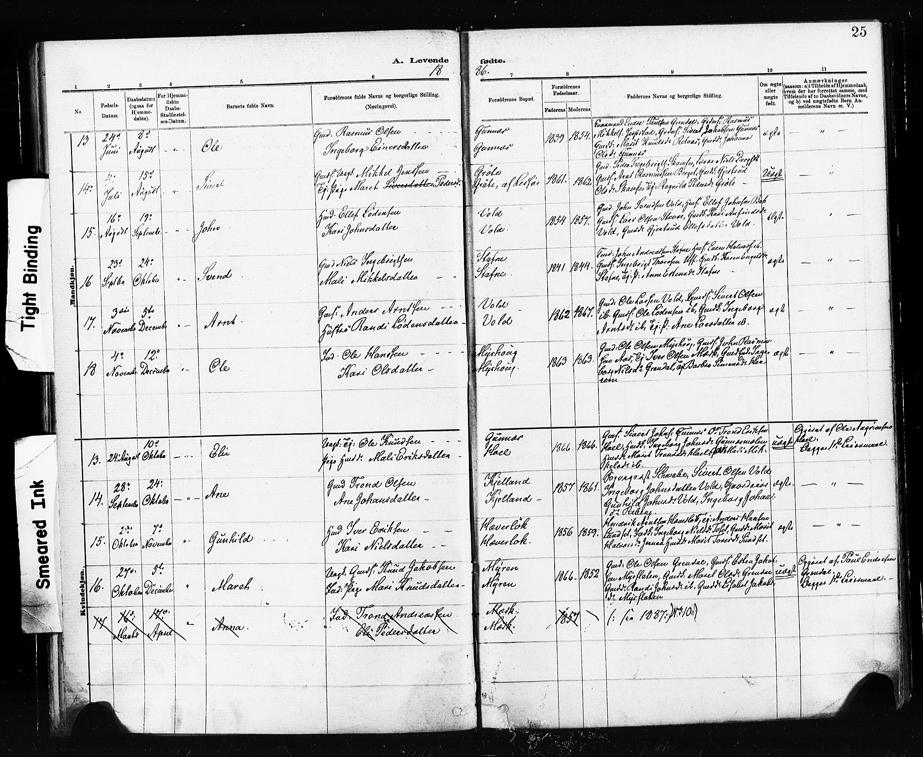 Ministerialprotokoller, klokkerbøker og fødselsregistre - Sør-Trøndelag, AV/SAT-A-1456/674/L0871: Parish register (official) no. 674A03, 1880-1896, p. 25