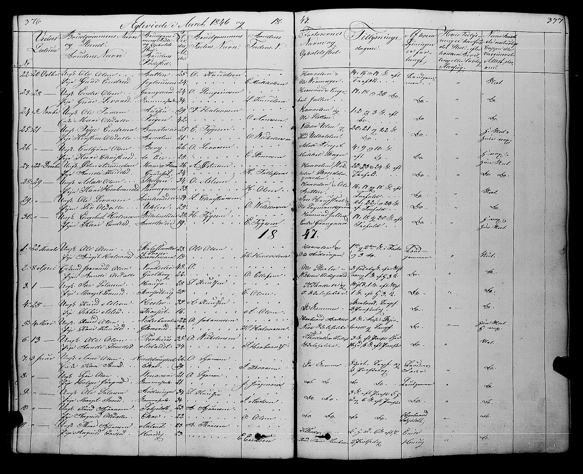 Gol kirkebøker, SAKO/A-226/F/Fa/L0002: Parish register (official) no. I 2, 1837-1863, p. 376-377
