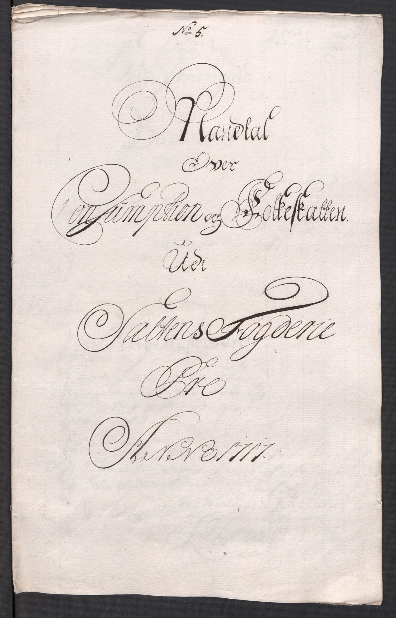 Rentekammeret inntil 1814, Reviderte regnskaper, Fogderegnskap, RA/EA-4092/R66/L4587: Fogderegnskap Salten, 1717, p. 93