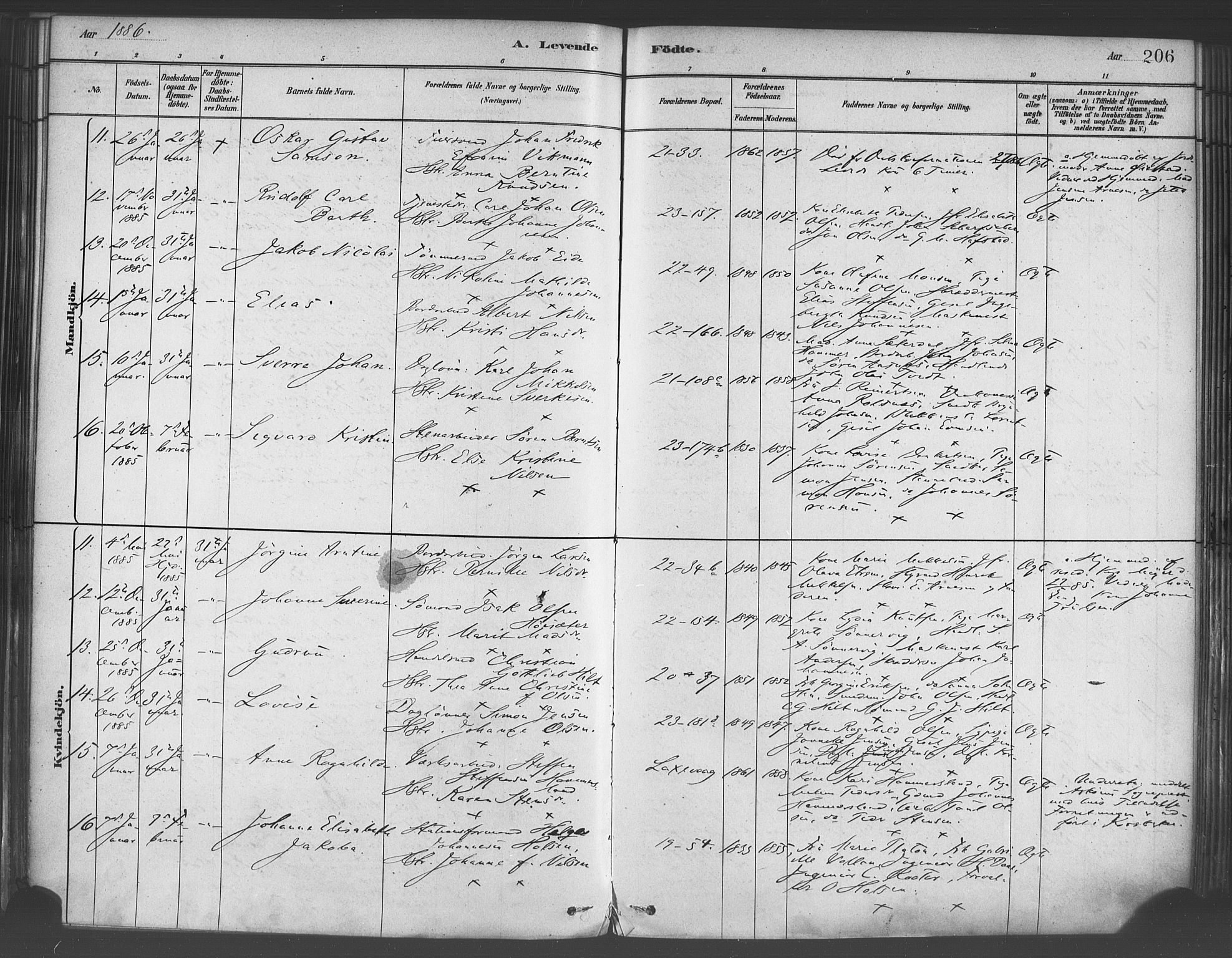 Korskirken sokneprestembete, SAB/A-76101/H/Haa/L0021: Parish register (official) no. B 7, 1878-1889, p. 206