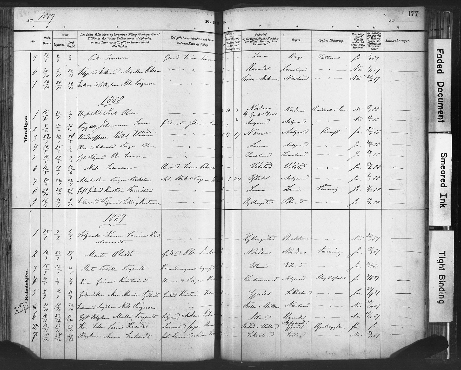 Lye sokneprestkontor, SAST/A-101794/001/30BA/L0010: Parish register (official) no. A 10, 1881-1896, p. 177