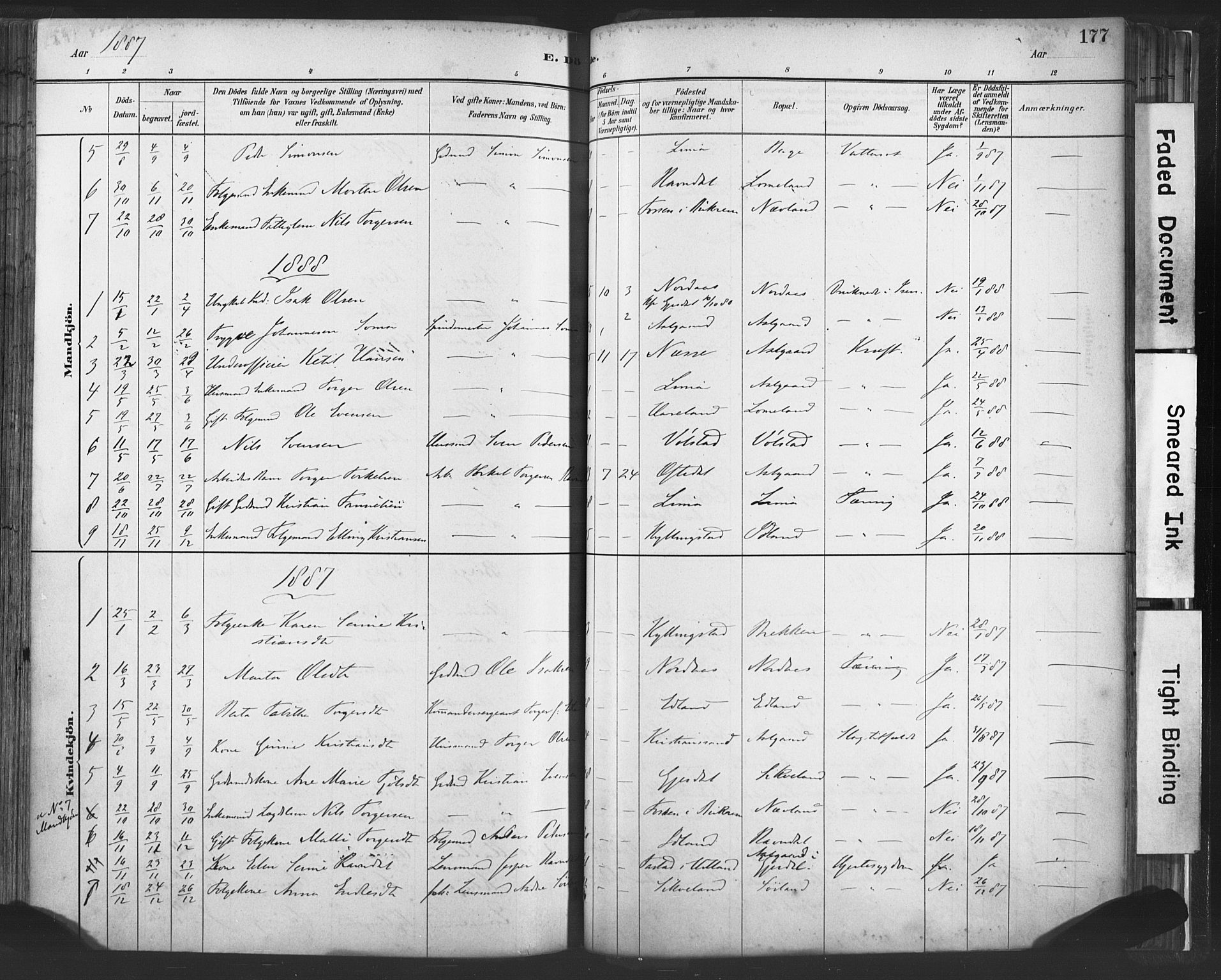 Lye sokneprestkontor, AV/SAST-A-101794/001/30BA/L0010: Parish register (official) no. A 10, 1881-1896, p. 177