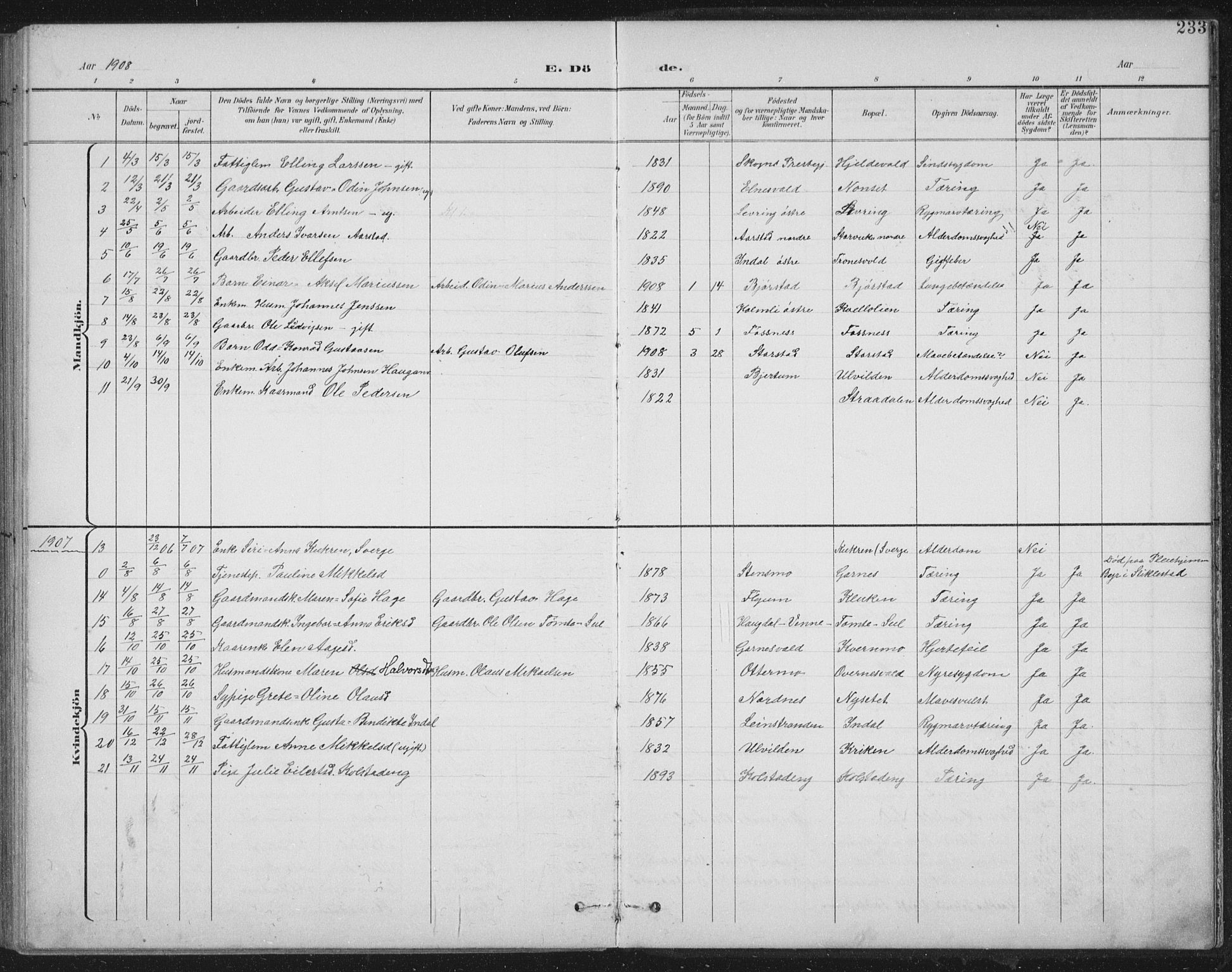 Ministerialprotokoller, klokkerbøker og fødselsregistre - Nord-Trøndelag, AV/SAT-A-1458/724/L0269: Parish register (copy) no. 724C05, 1899-1920, p. 233