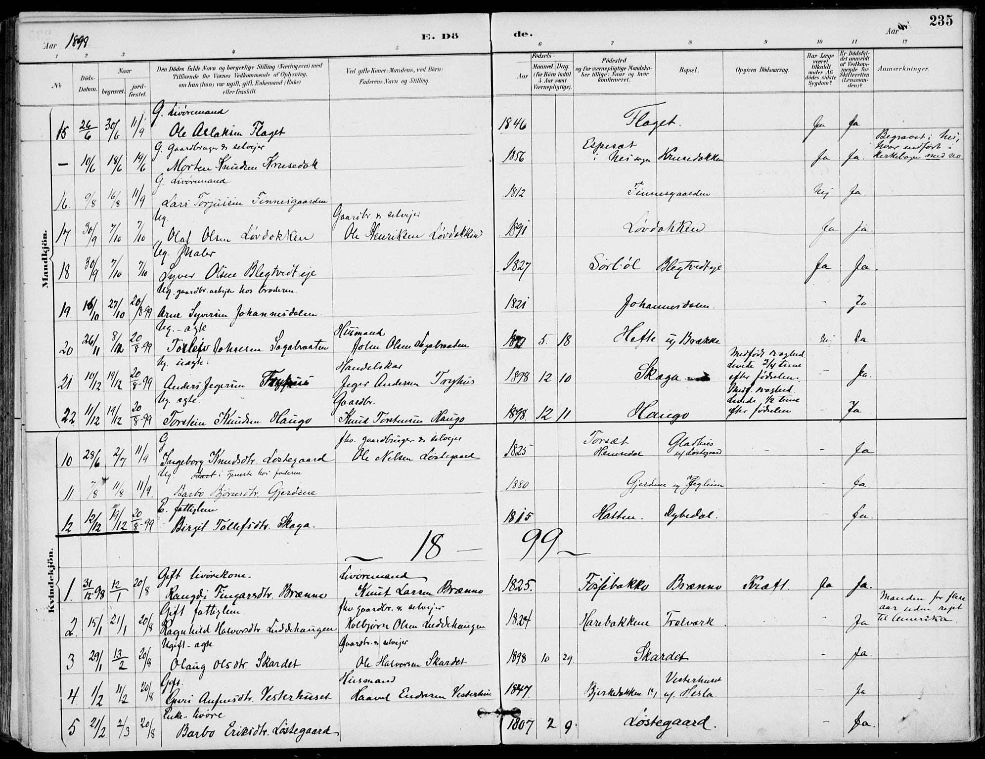 Gol kirkebøker, AV/SAKO-A-226/F/Fa/L0005: Parish register (official) no. I 5, 1887-1900, p. 235