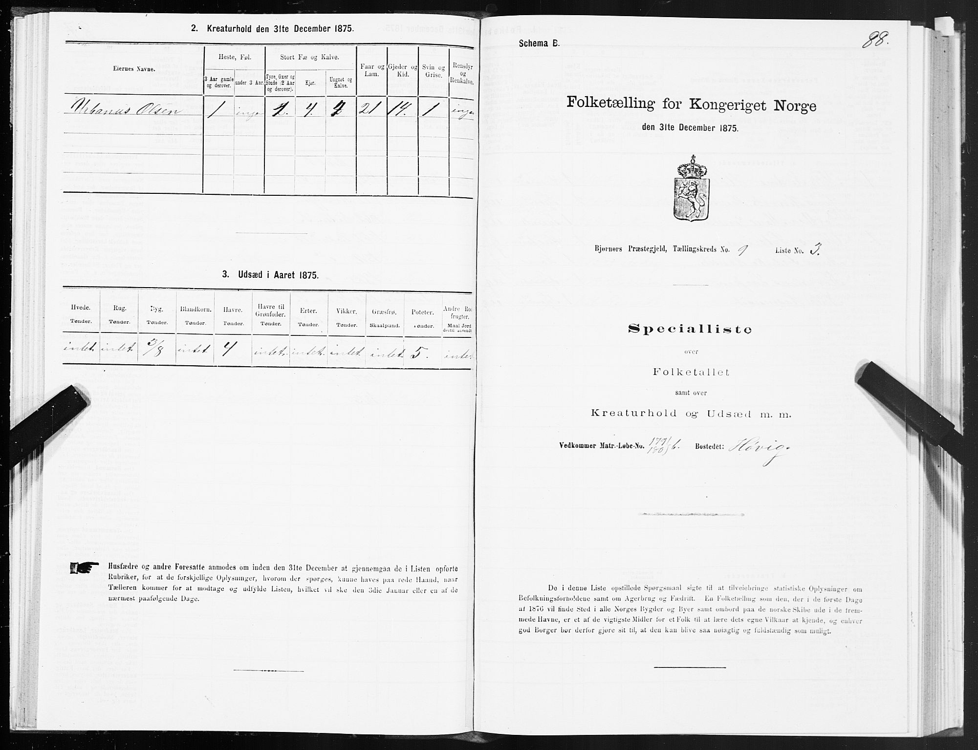 SAT, 1875 census for 1632P Bjørnør, 1875, p. 4088