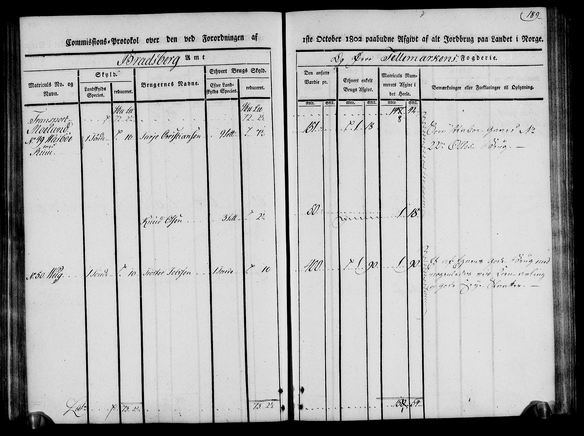 Rentekammeret inntil 1814, Realistisk ordnet avdeling, AV/RA-EA-4070/N/Ne/Nea/L0075: Øvre Telemarken fogderi. Kommisjonsprotokoll for fogderiets vestre del - Kviteseid, Vinje, Moland [):Fyresdal] og Lårdal prestegjeld., 1803, p. 191