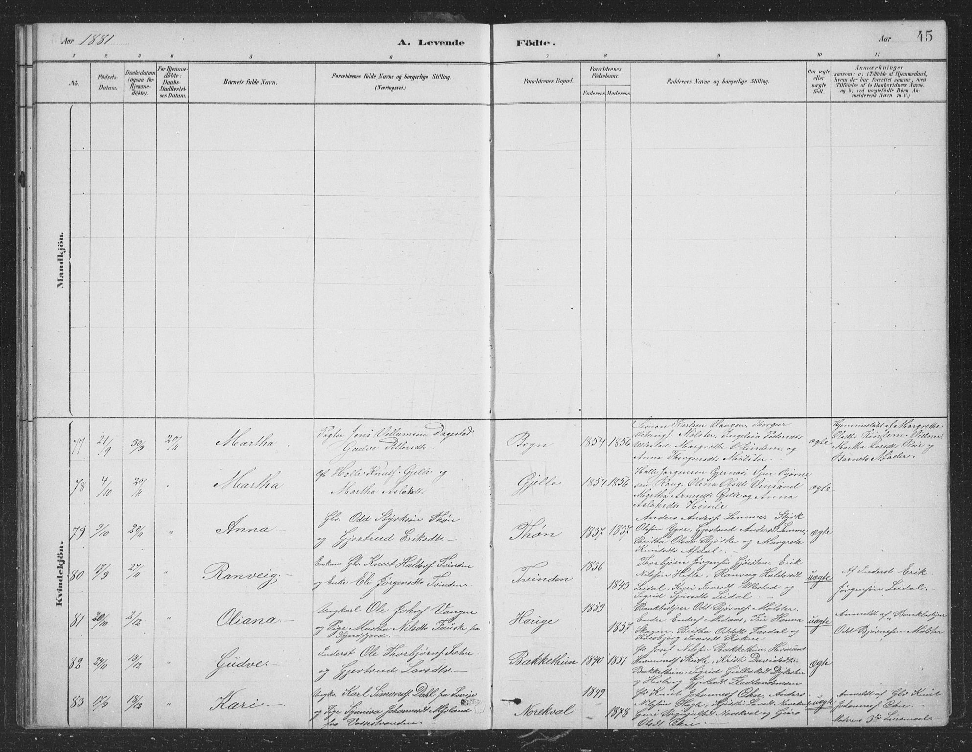 Voss sokneprestembete, AV/SAB-A-79001/H/Hab: Parish register (copy) no. B 3, 1879-1894, p. 45