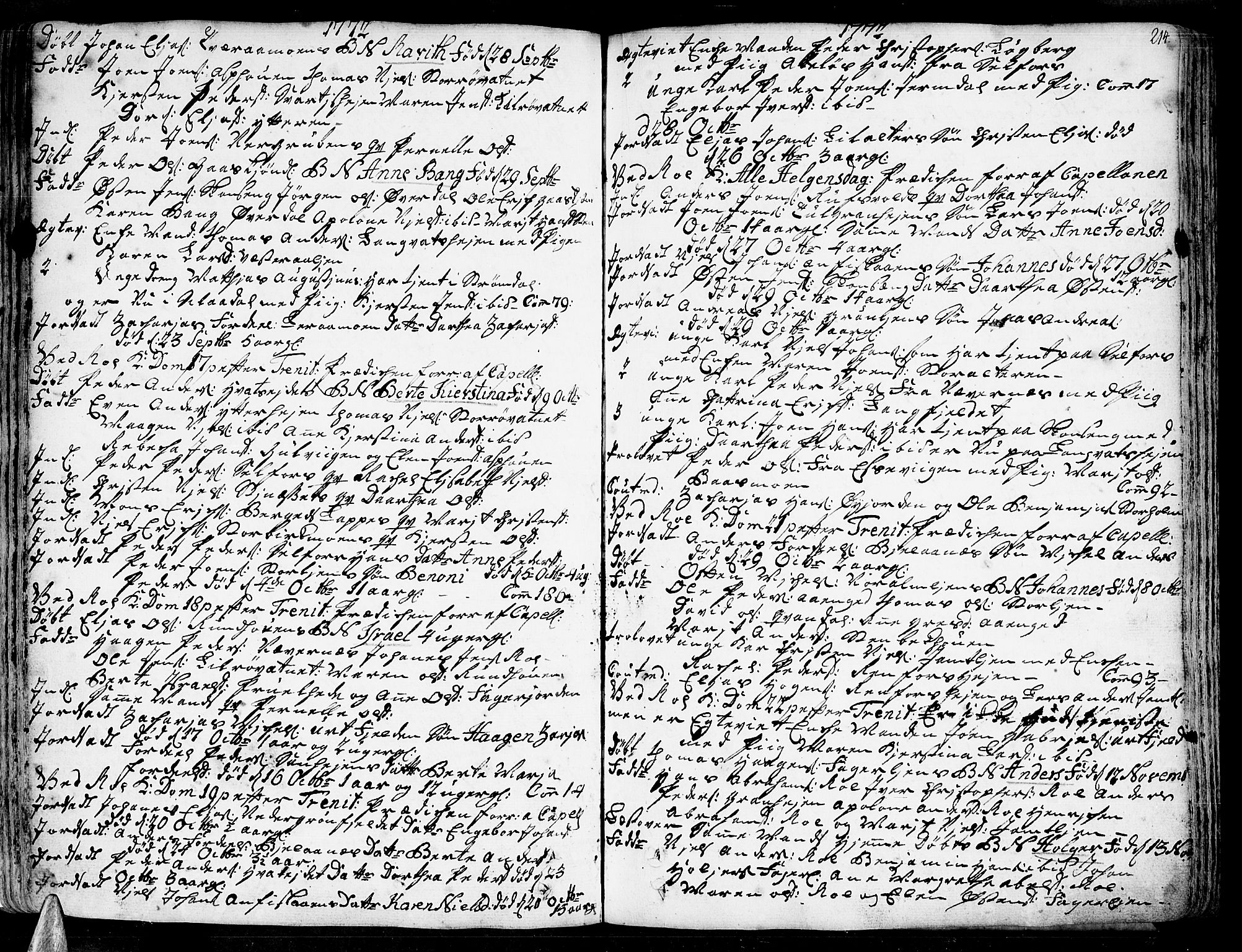 Ministerialprotokoller, klokkerbøker og fødselsregistre - Nordland, AV/SAT-A-1459/825/L0348: Parish register (official) no. 825A04, 1752-1788, p. 214