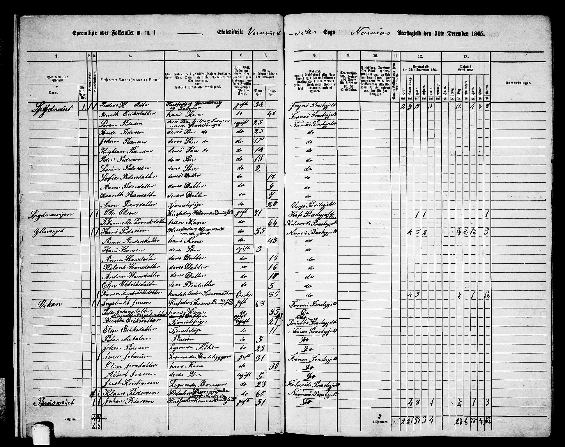 RA, 1865 census for Namsos/Vemundvik og Sævik, 1865, p. 10