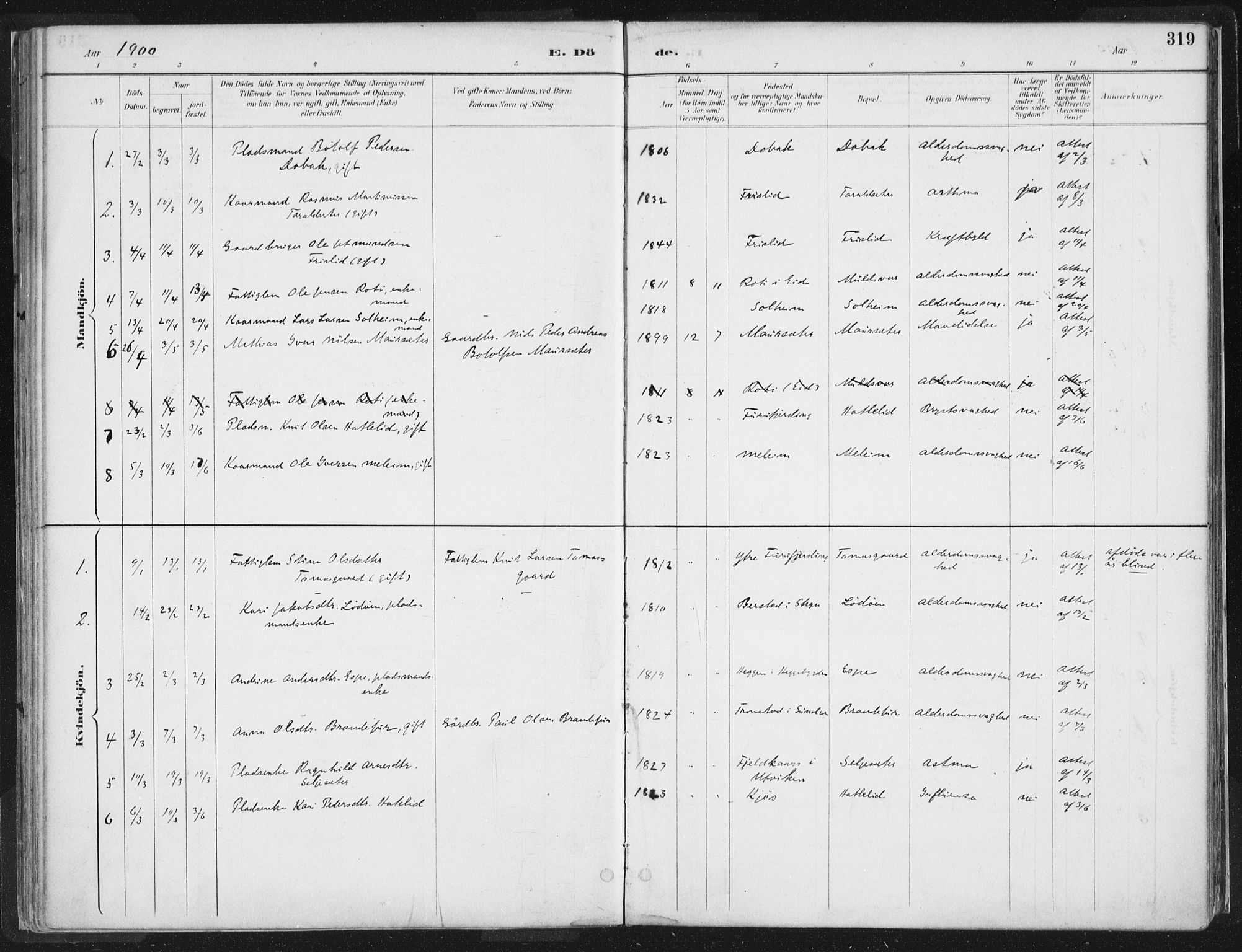 Hornindal sokneprestembete, AV/SAB-A-82401/H/Haa/Haaa/L0003/0002: Parish register (official) no. A 3B, 1885-1917, p. 319