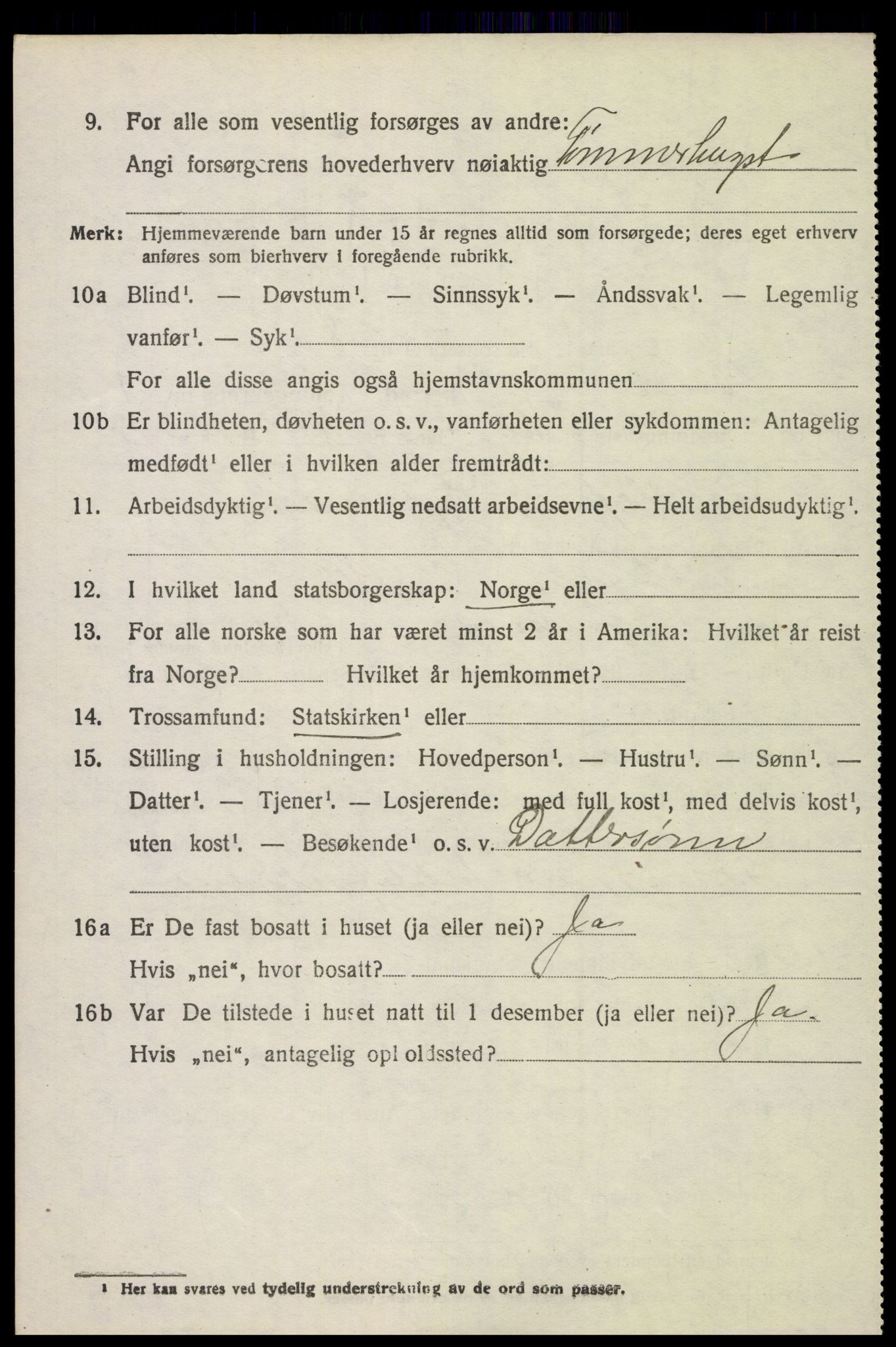 SAH, 1920 census for Eina, 1920, p. 2915