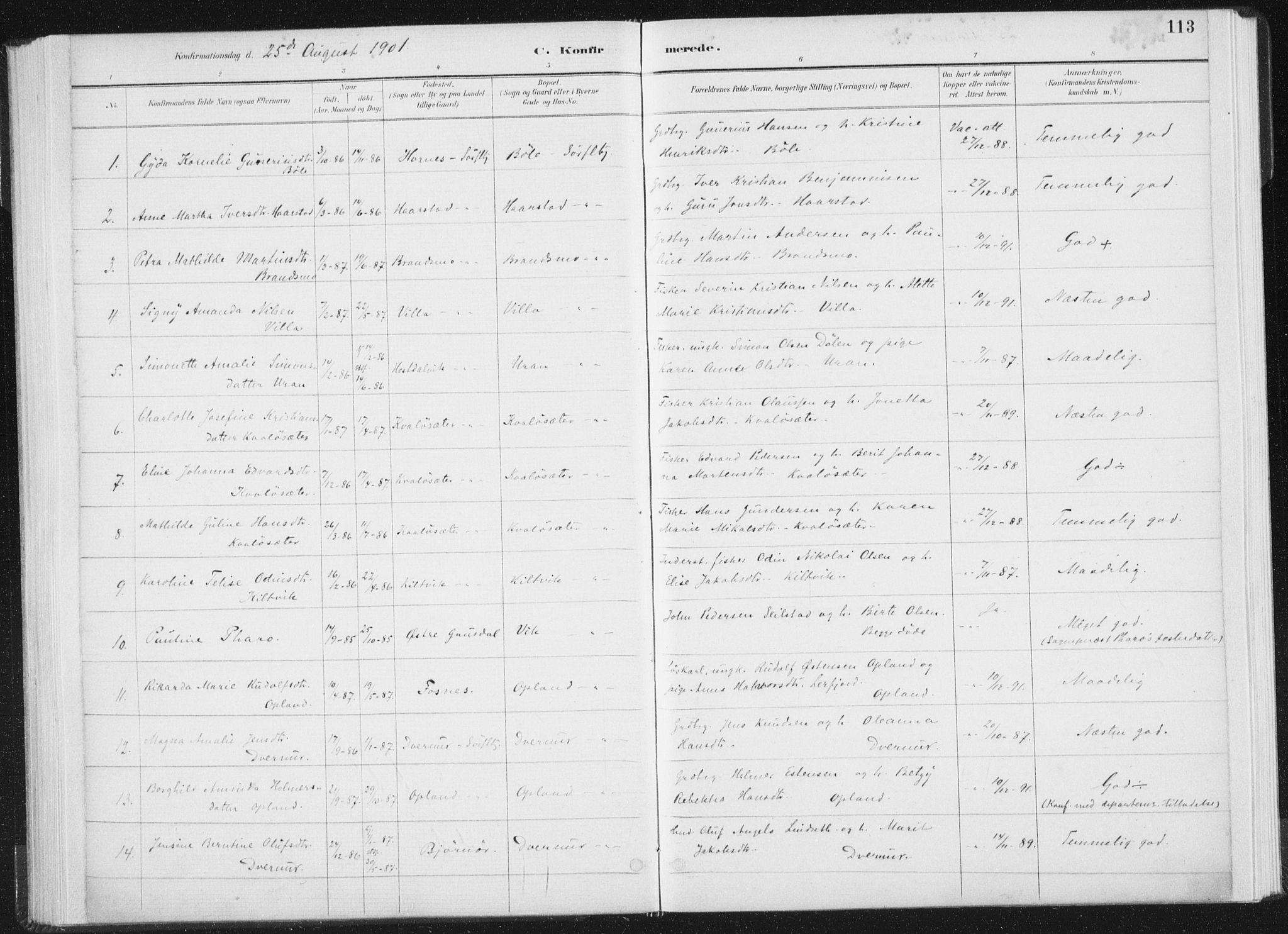 Ministerialprotokoller, klokkerbøker og fødselsregistre - Nord-Trøndelag, SAT/A-1458/771/L0597: Parish register (official) no. 771A04, 1885-1910, p. 113