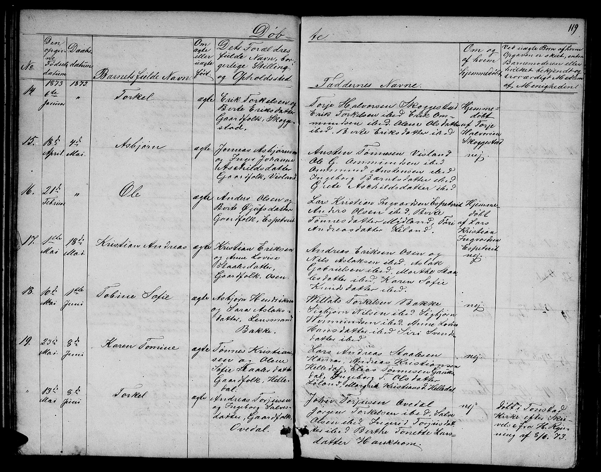 Bakke sokneprestkontor, AV/SAK-1111-0002/F/Fb/Fba/L0001: Parish register (copy) no. B 1, 1849-1879, p. 119