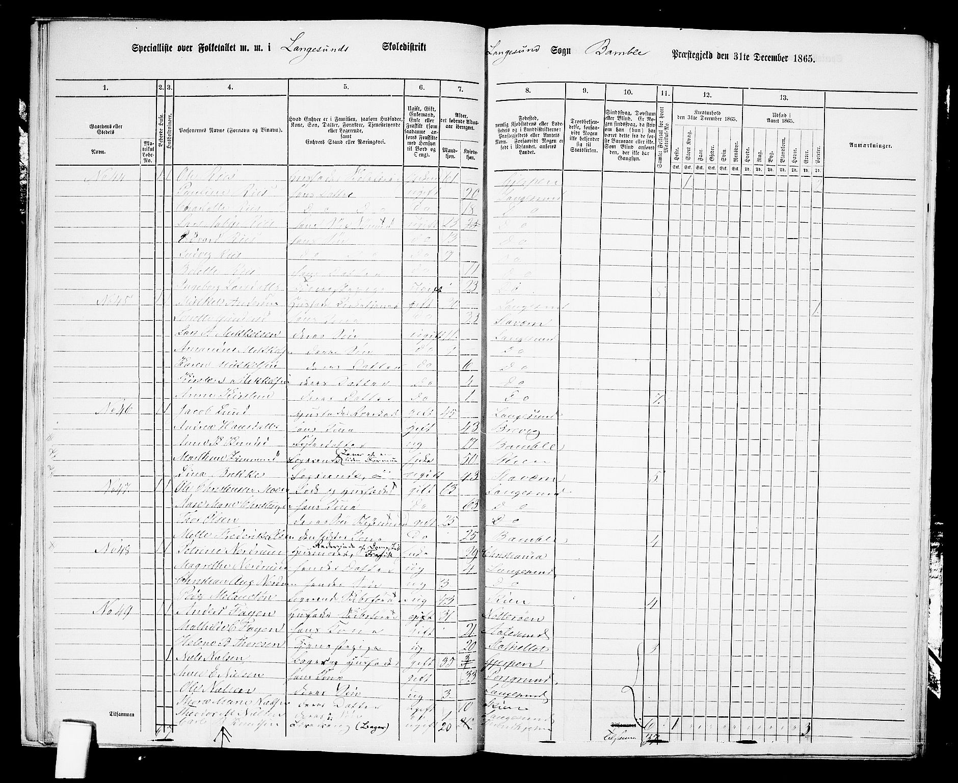 RA, 1865 census for Bamble, 1865, p. 200