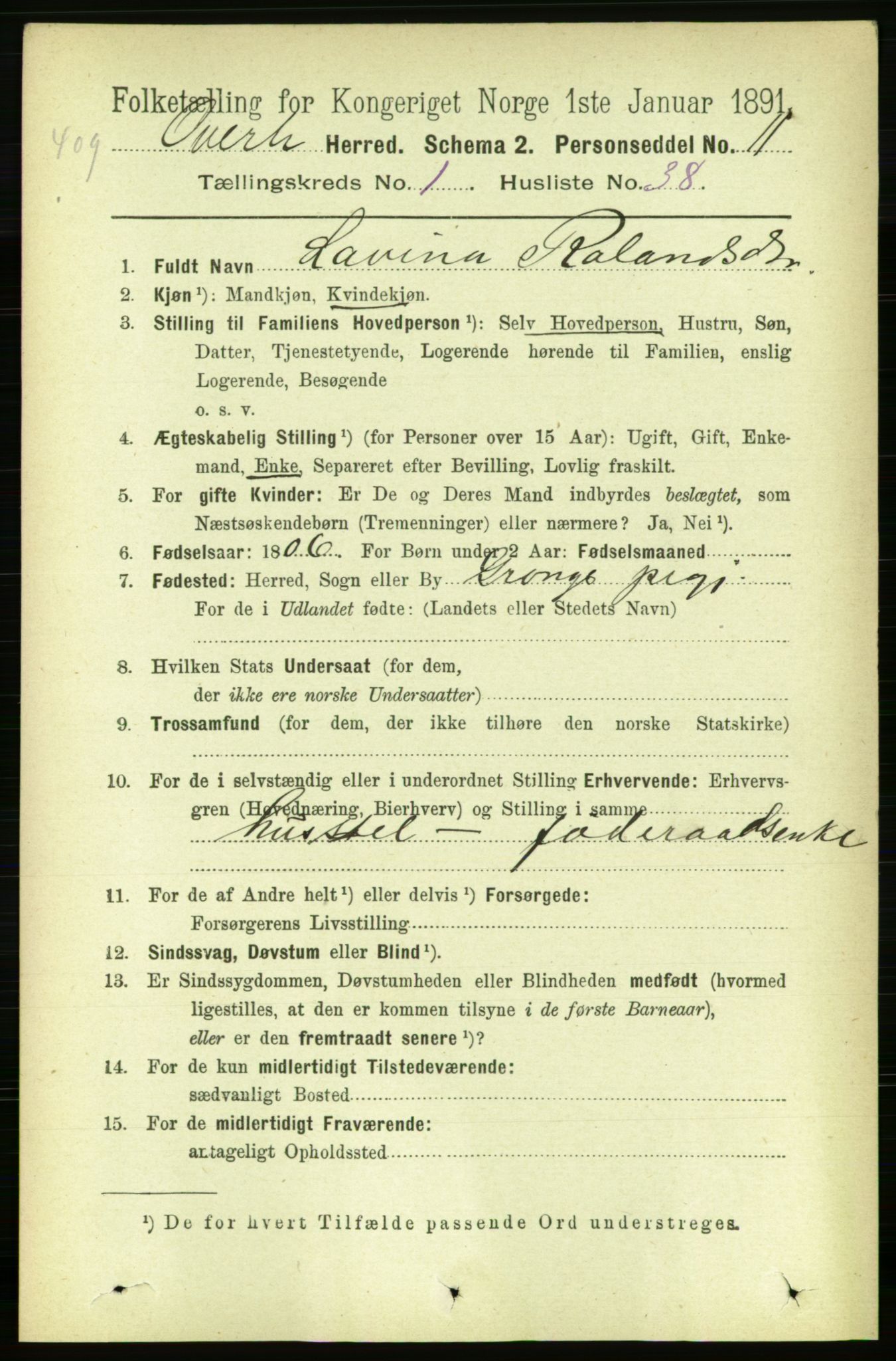 RA, 1891 census for 1744 Overhalla, 1891, p. 316