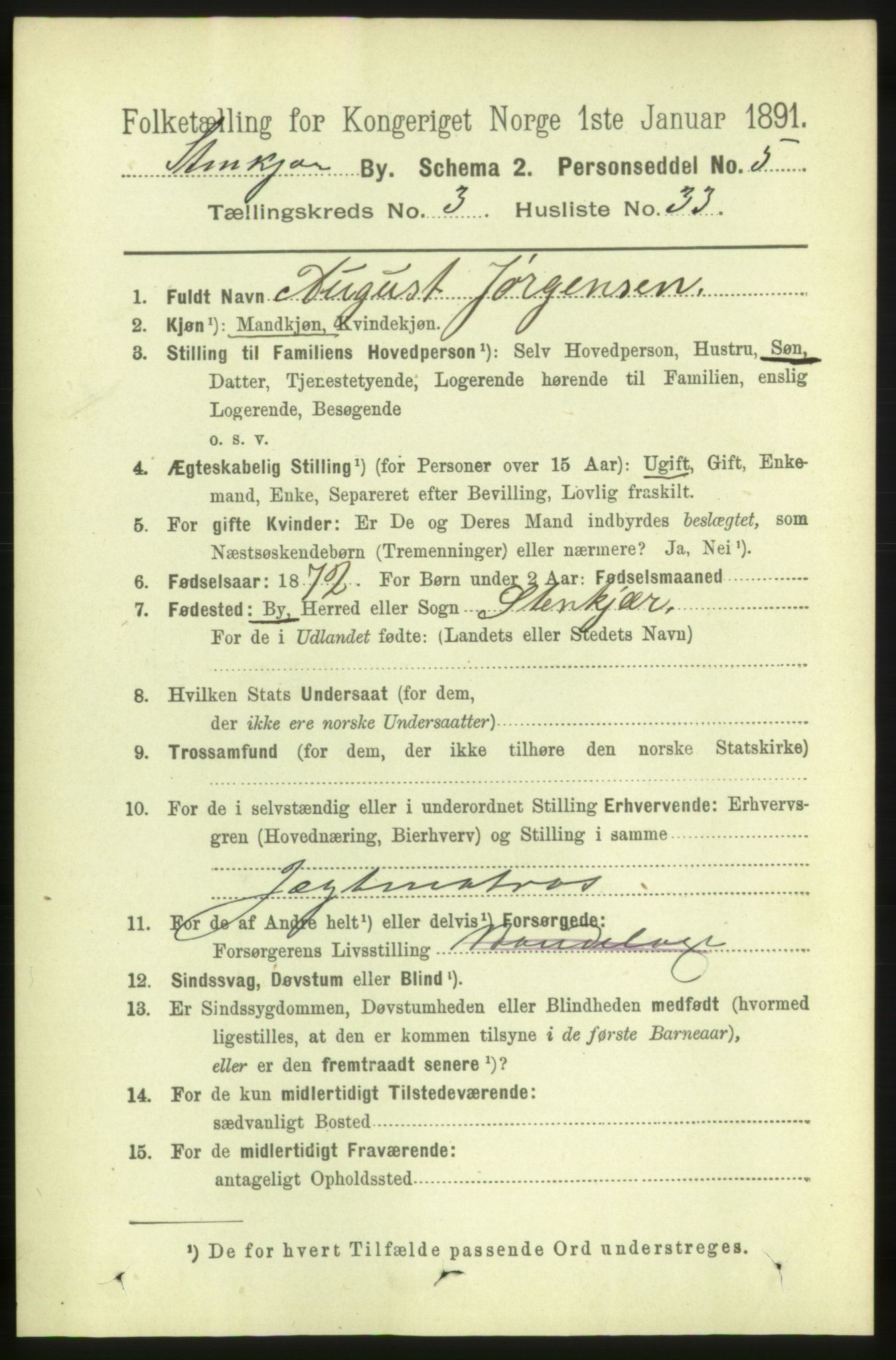 RA, 1891 census for 1702 Steinkjer, 1891, p. 1137