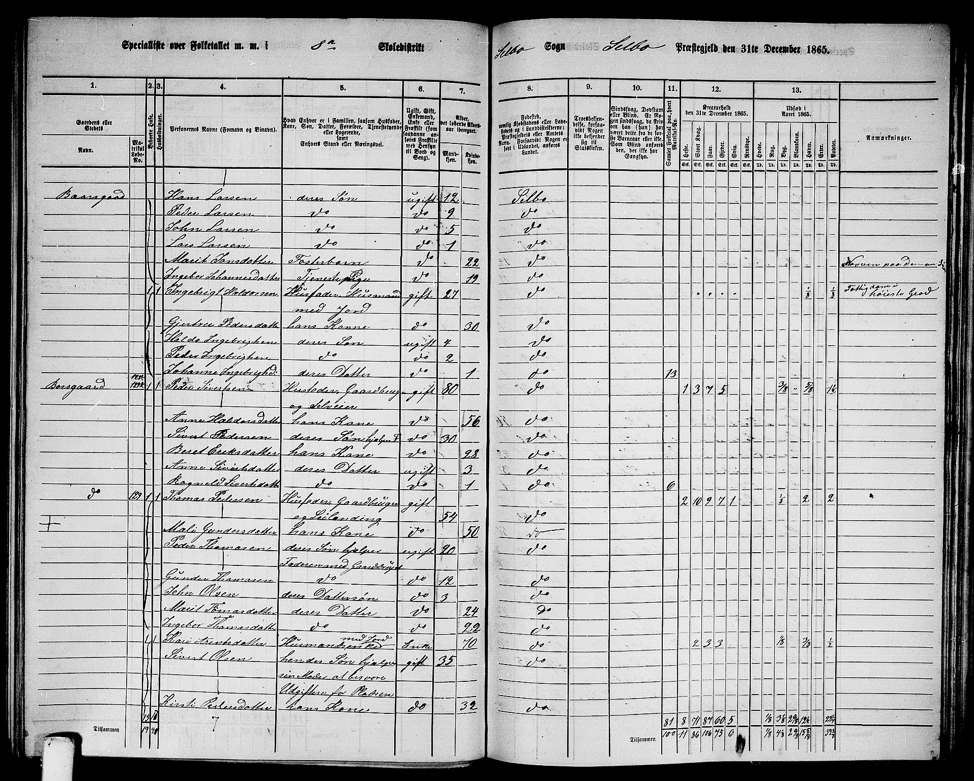 RA, 1865 census for Selbu, 1865, p. 137