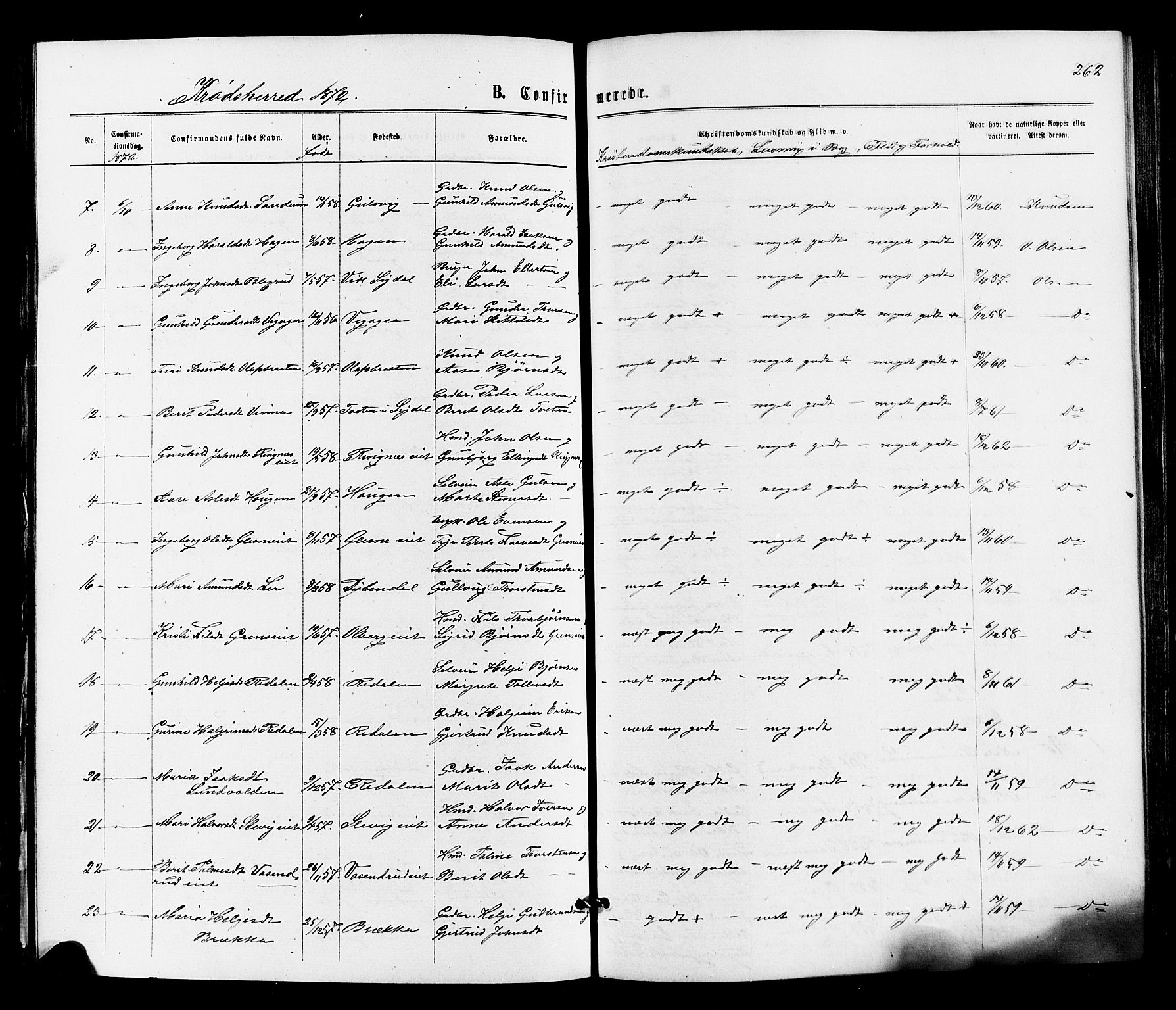 Sigdal kirkebøker, AV/SAKO-A-245/F/Fa/L0010: Parish register (official) no. I 10 /2, 1872-1878, p. 262