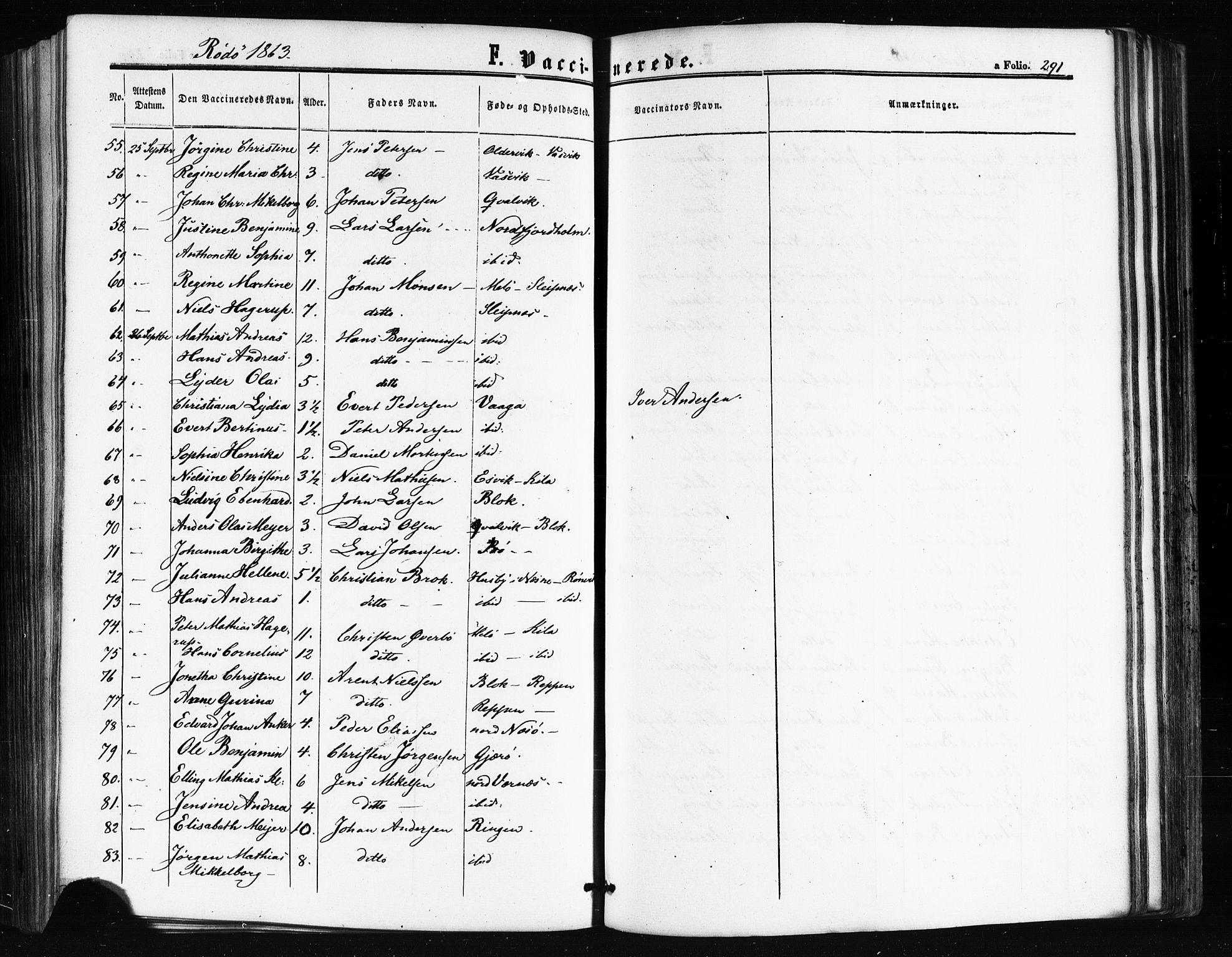 Ministerialprotokoller, klokkerbøker og fødselsregistre - Nordland, AV/SAT-A-1459/841/L0607: Parish register (official) no. 841A11 /1, 1863-1877, p. 291