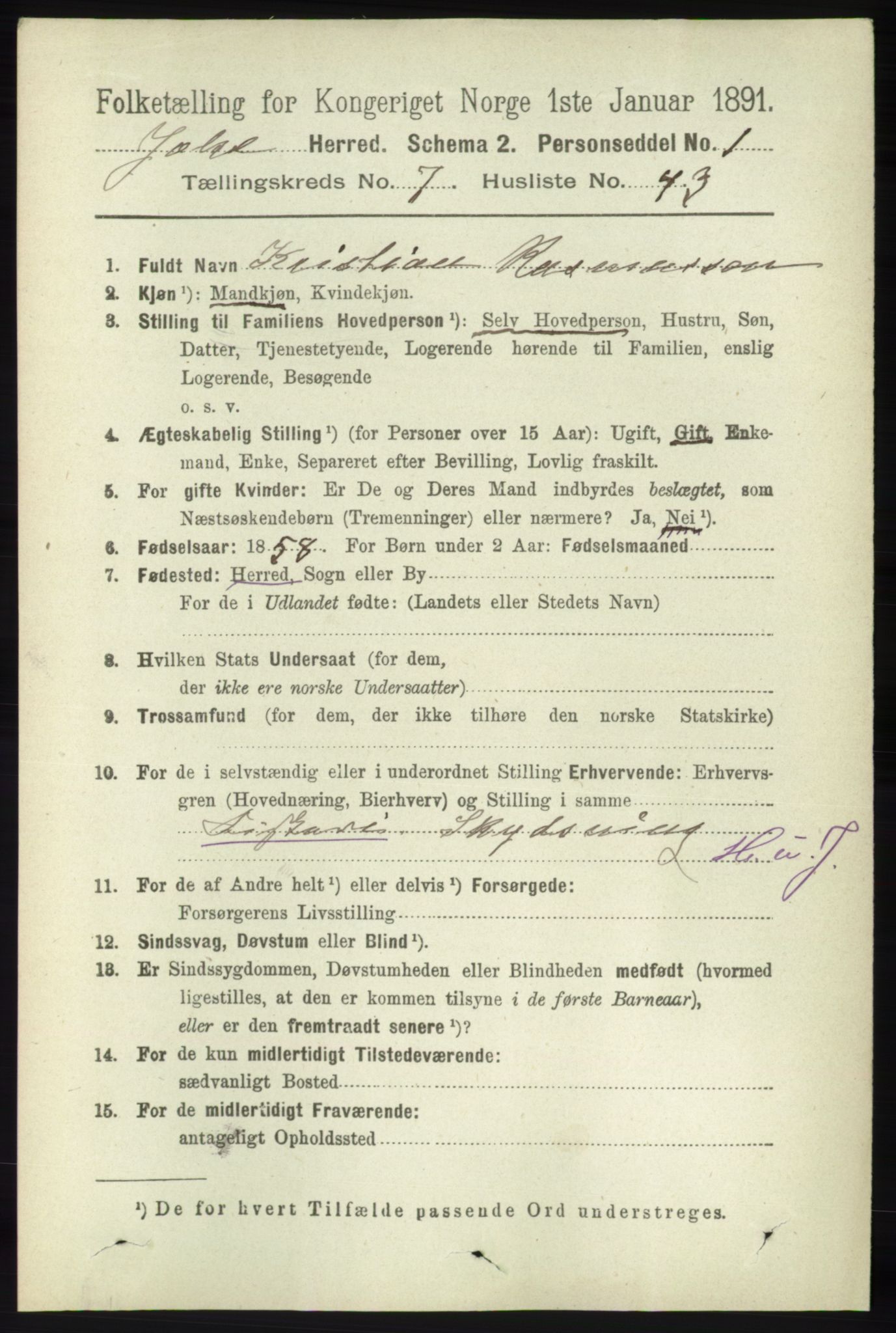 RA, 1891 census for 1138 Jelsa, 1891, p. 1735