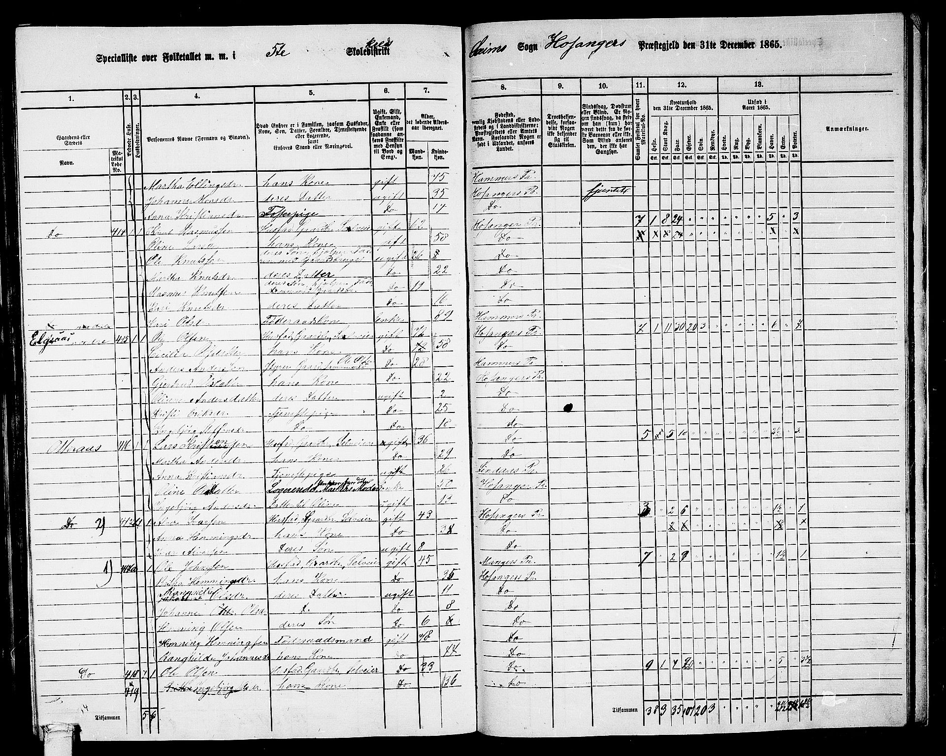 RA, 1865 census for Hosanger, 1865, p. 170