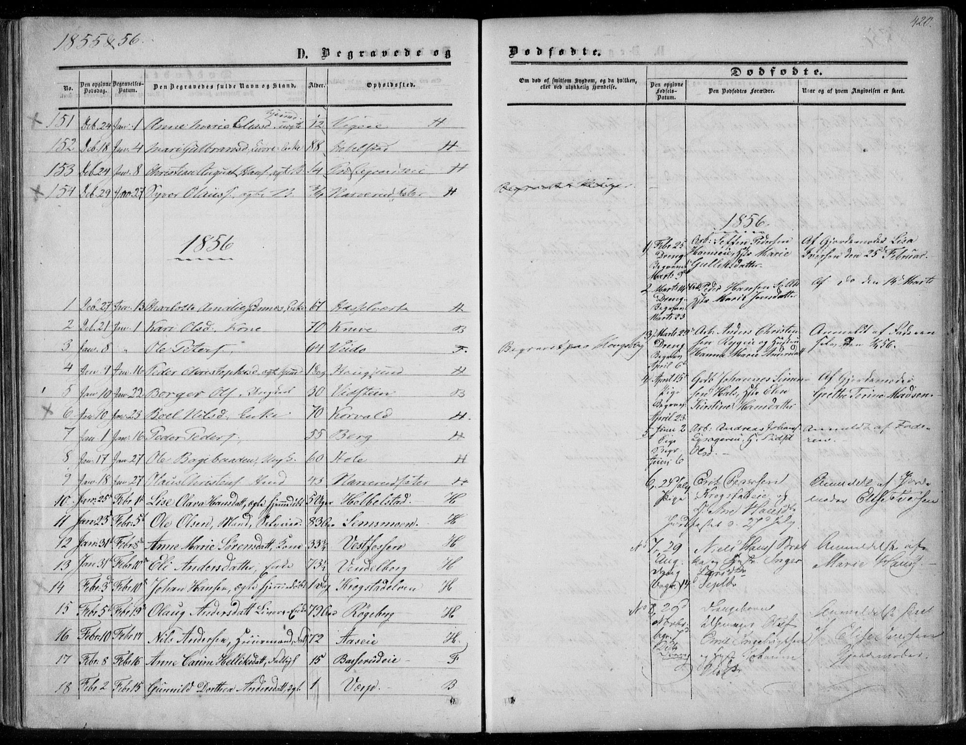 Eiker kirkebøker, SAKO/A-4/F/Fa/L0015b: Parish register (official) no. I 15B, 1854-1860, p. 420