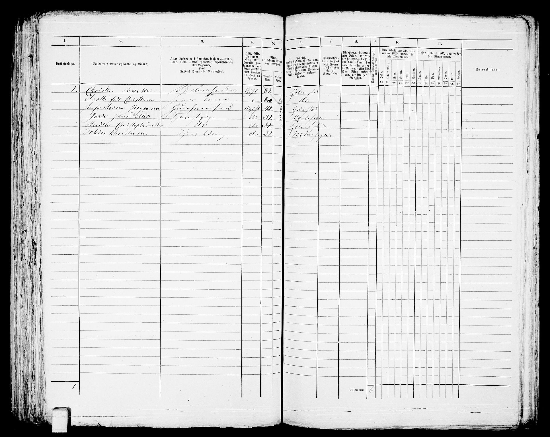 RA, 1865 census for Botne/Holmestrand, 1865, p. 216