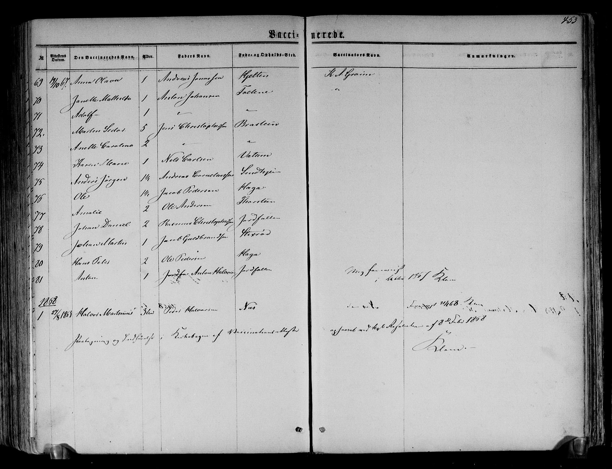 Brunlanes kirkebøker, SAKO/A-342/F/Fa/L0005: Parish register (official) no. I 5, 1862-1877, p. 453