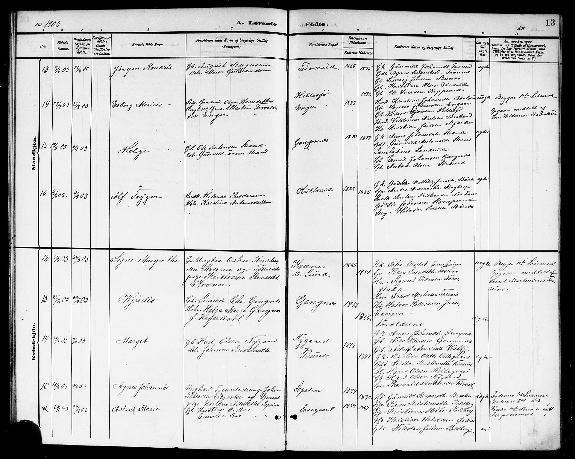 Høland prestekontor Kirkebøker, AV/SAO-A-10346a/G/Gb/L0001: Parish register (copy) no. II 1, 1902-1919, p. 13