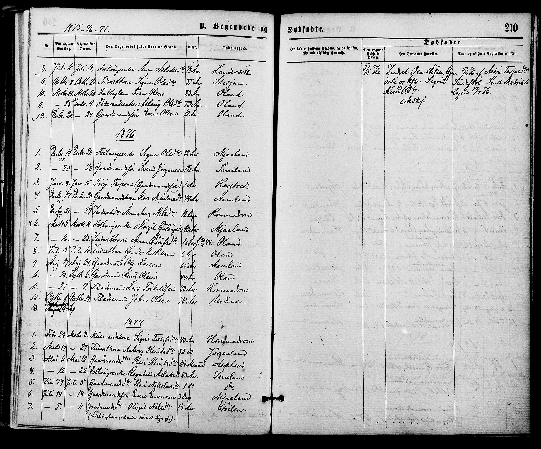 Åmli sokneprestkontor, AV/SAK-1111-0050/F/Fa/Fac/L0009: Parish register (official) no. A 9 /2, 1869-1884, p. 210