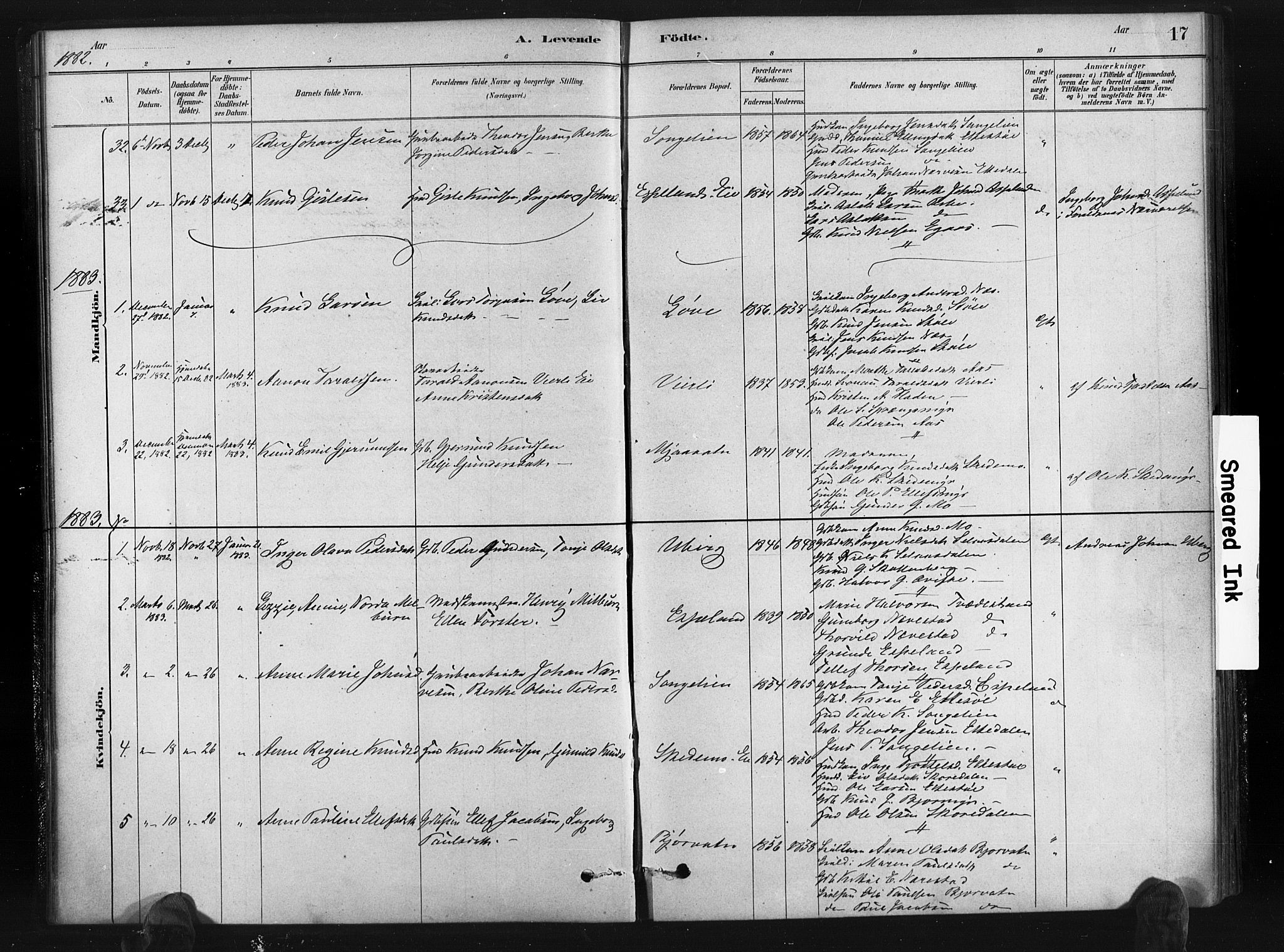 Gjerstad sokneprestkontor, AV/SAK-1111-0014/F/Fa/Fab/L0004: Parish register (official) no. A 4, 1879-1890, p. 17