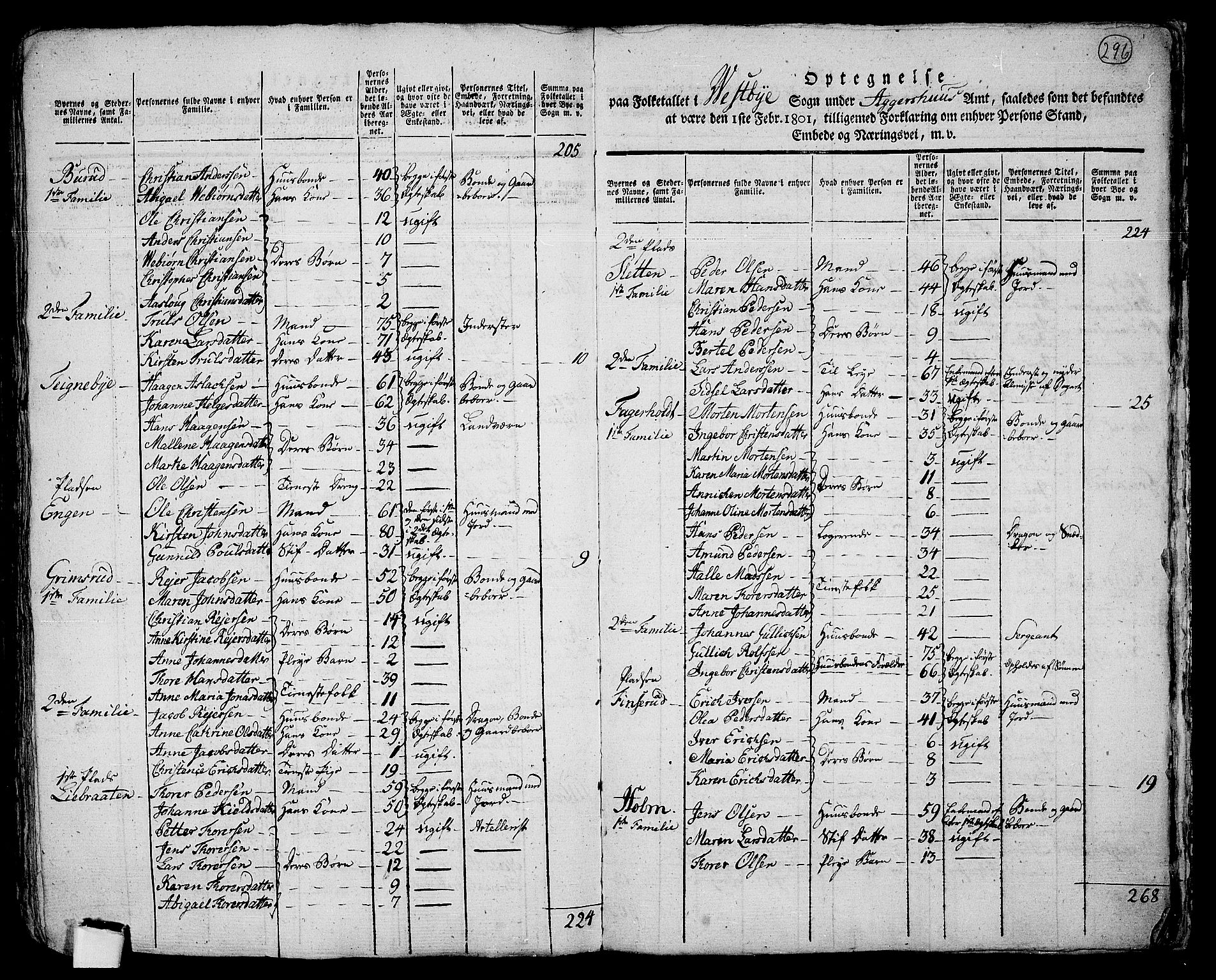 RA, 1801 census for 0211P Vestby, 1801, p. 295b-296a