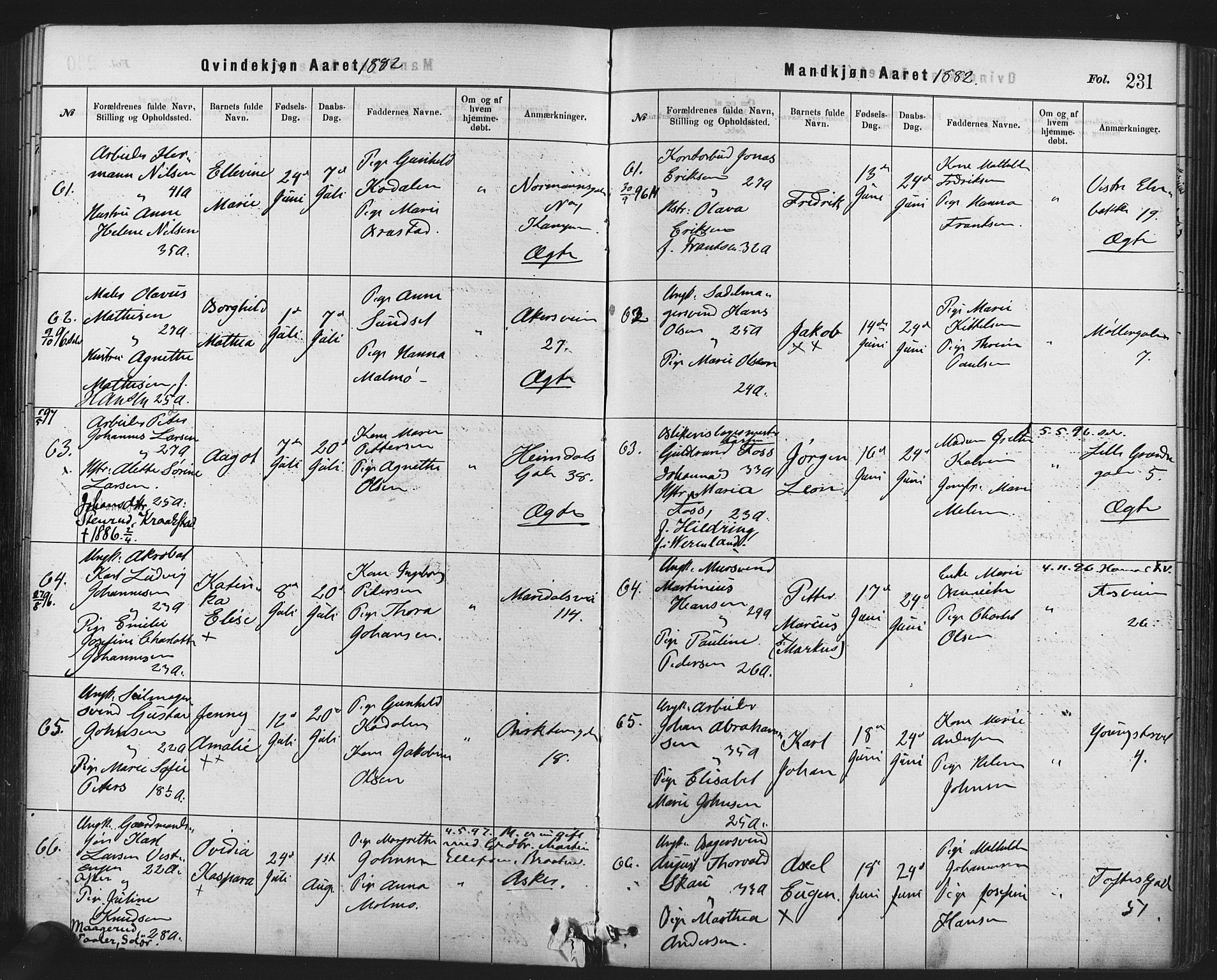 Rikshospitalet prestekontor Kirkebøker, SAO/A-10309b/F/L0006: Parish register (official) no. 6, 1871-1885, p. 231
