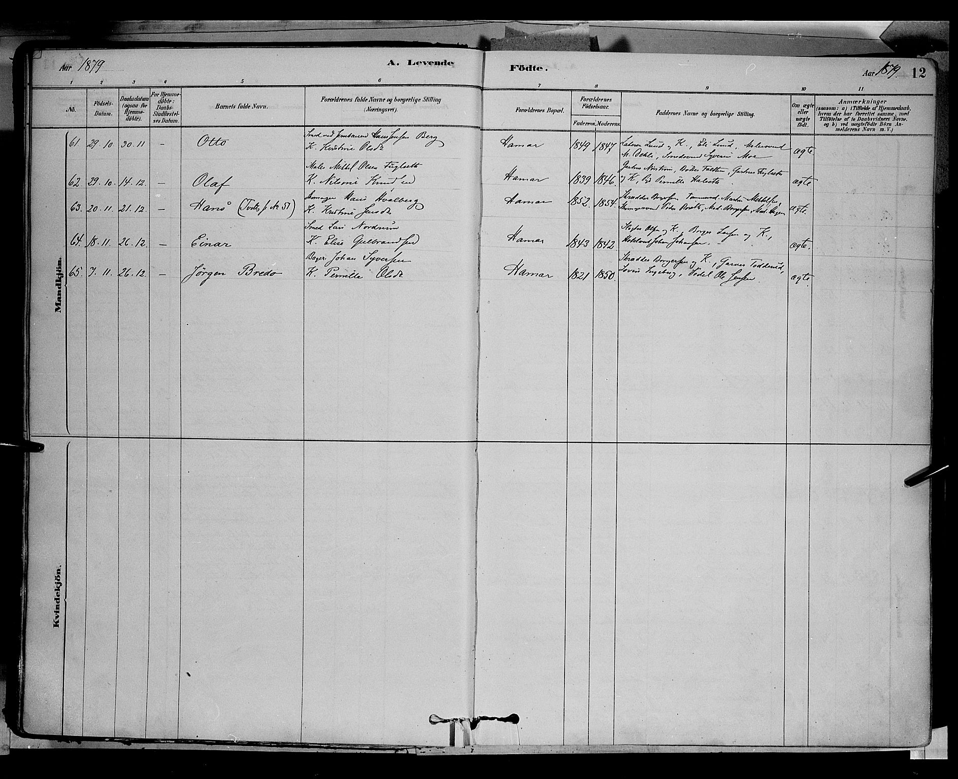 Vang prestekontor, Hedmark, AV/SAH-PREST-008/H/Ha/Haa/L0016: Parish register (official) no. 16, 1878-1889, p. 12