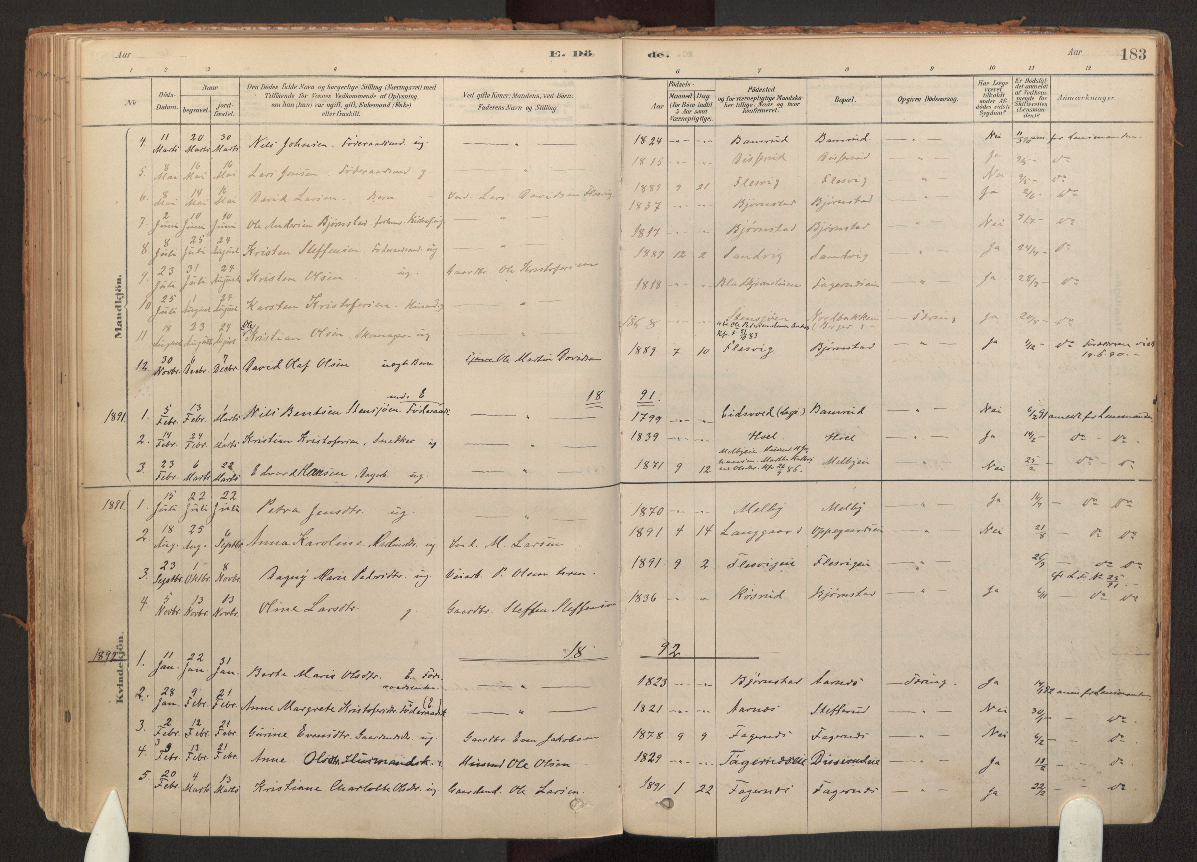 Hurdal prestekontor Kirkebøker, SAO/A-10889/F/Fb/L0003: Parish register (official) no. II 3, 1878-1920, p. 183
