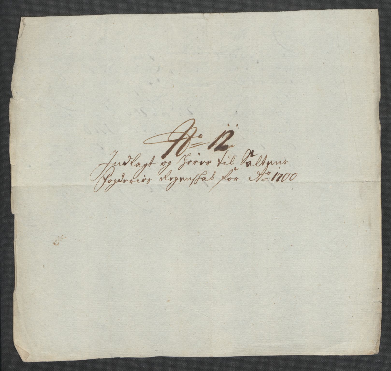 Rentekammeret inntil 1814, Reviderte regnskaper, Fogderegnskap, RA/EA-4092/R66/L4579: Fogderegnskap Salten, 1697-1700, p. 411