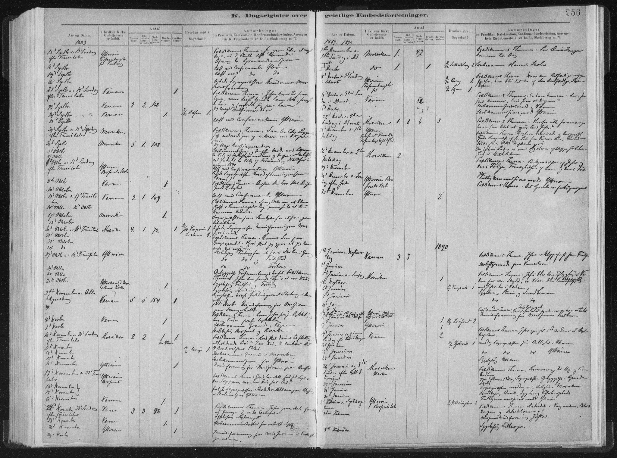 Ministerialprotokoller, klokkerbøker og fødselsregistre - Nord-Trøndelag, SAT/A-1458/722/L0220: Parish register (official) no. 722A07, 1881-1908, p. 256