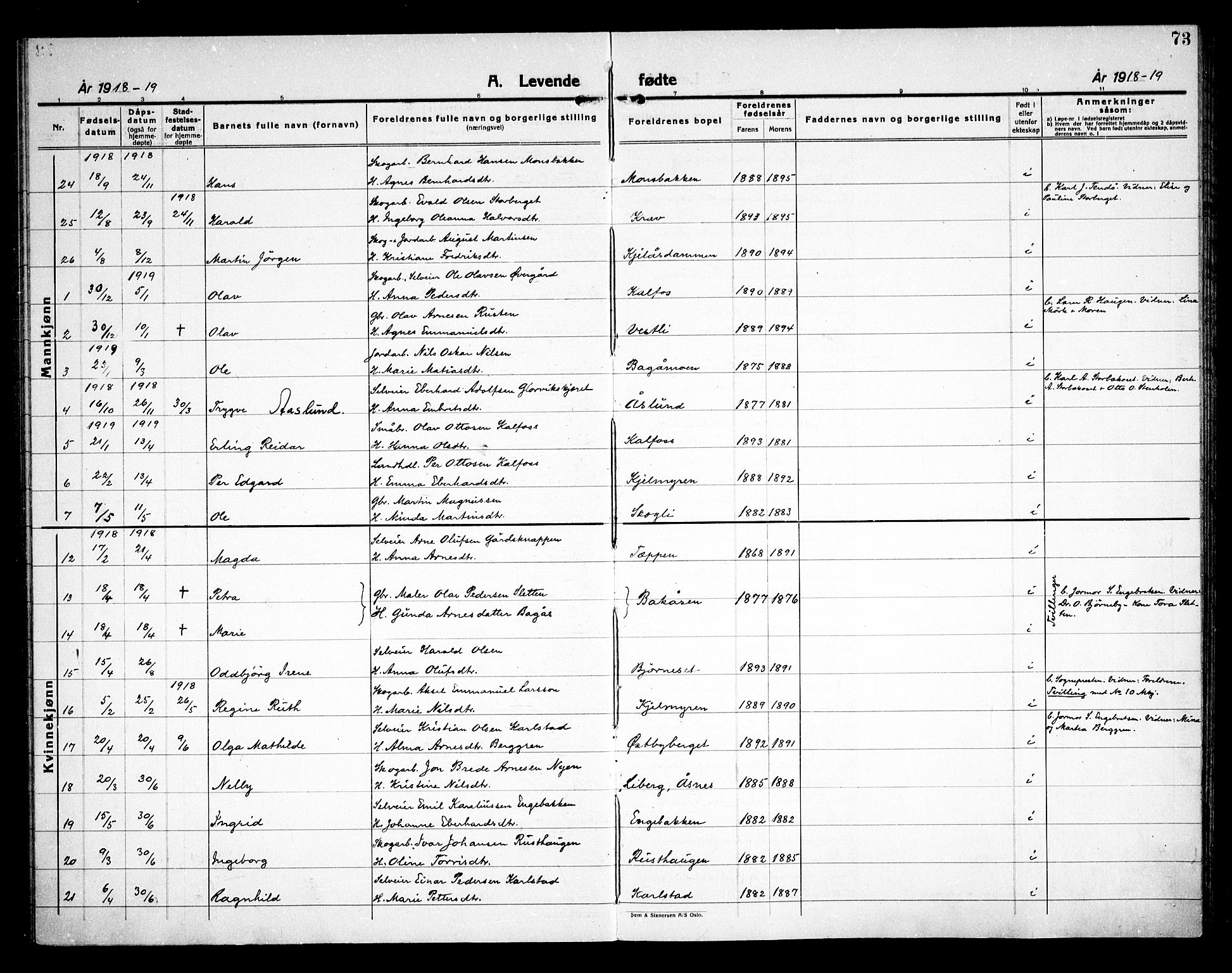 Åsnes prestekontor, AV/SAH-PREST-042/H/Ha/Haa/L0000D: Parish register (official) no. 0B, 1890-1929, p. 73