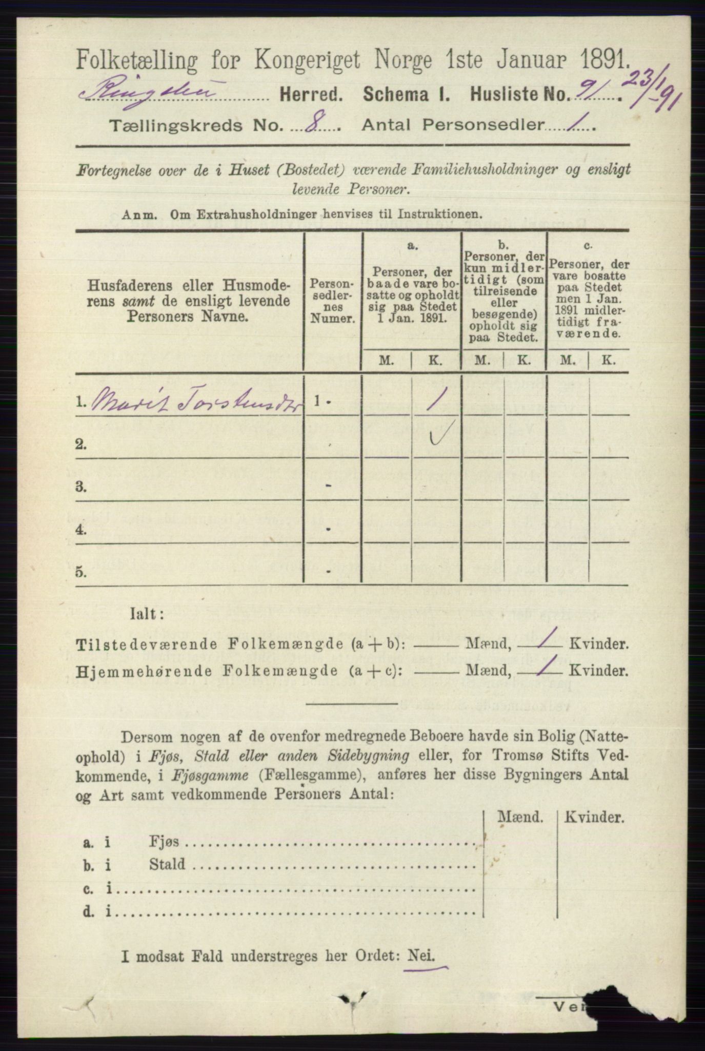 RA, 1891 census for 0520 Ringebu, 1891, p. 3673